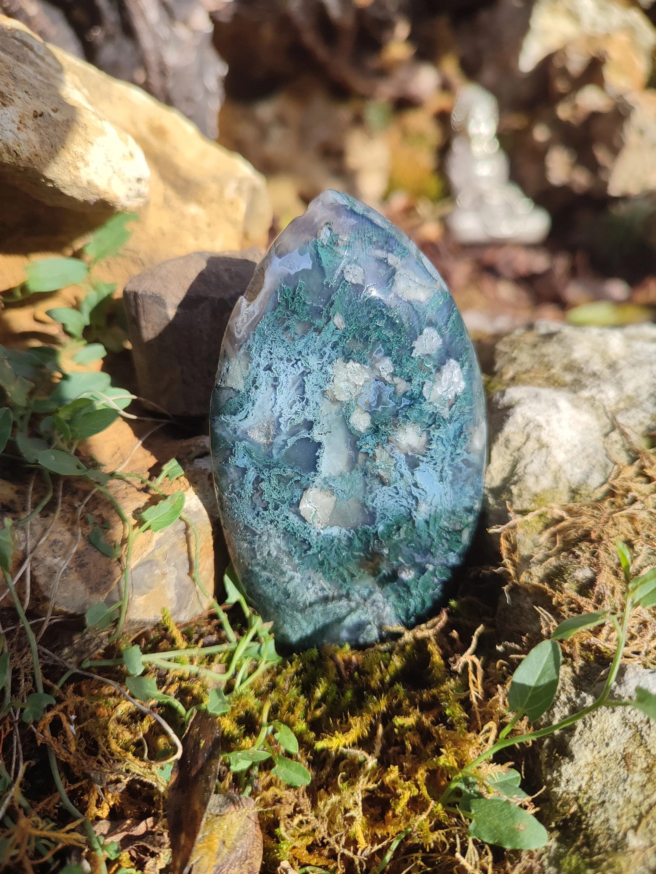 Forme libre d'Agate mousse
