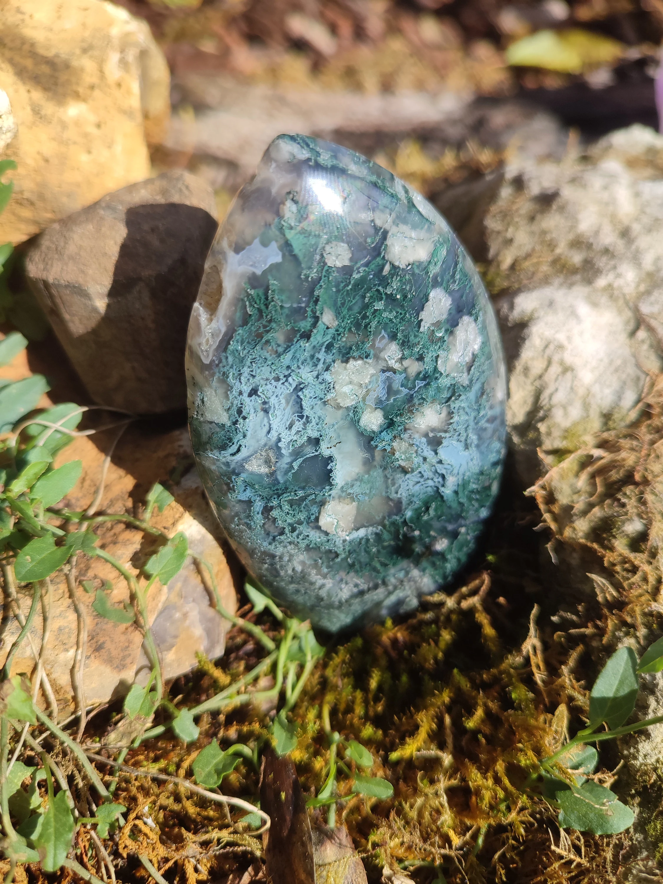 Forme libre d'Agate mousse