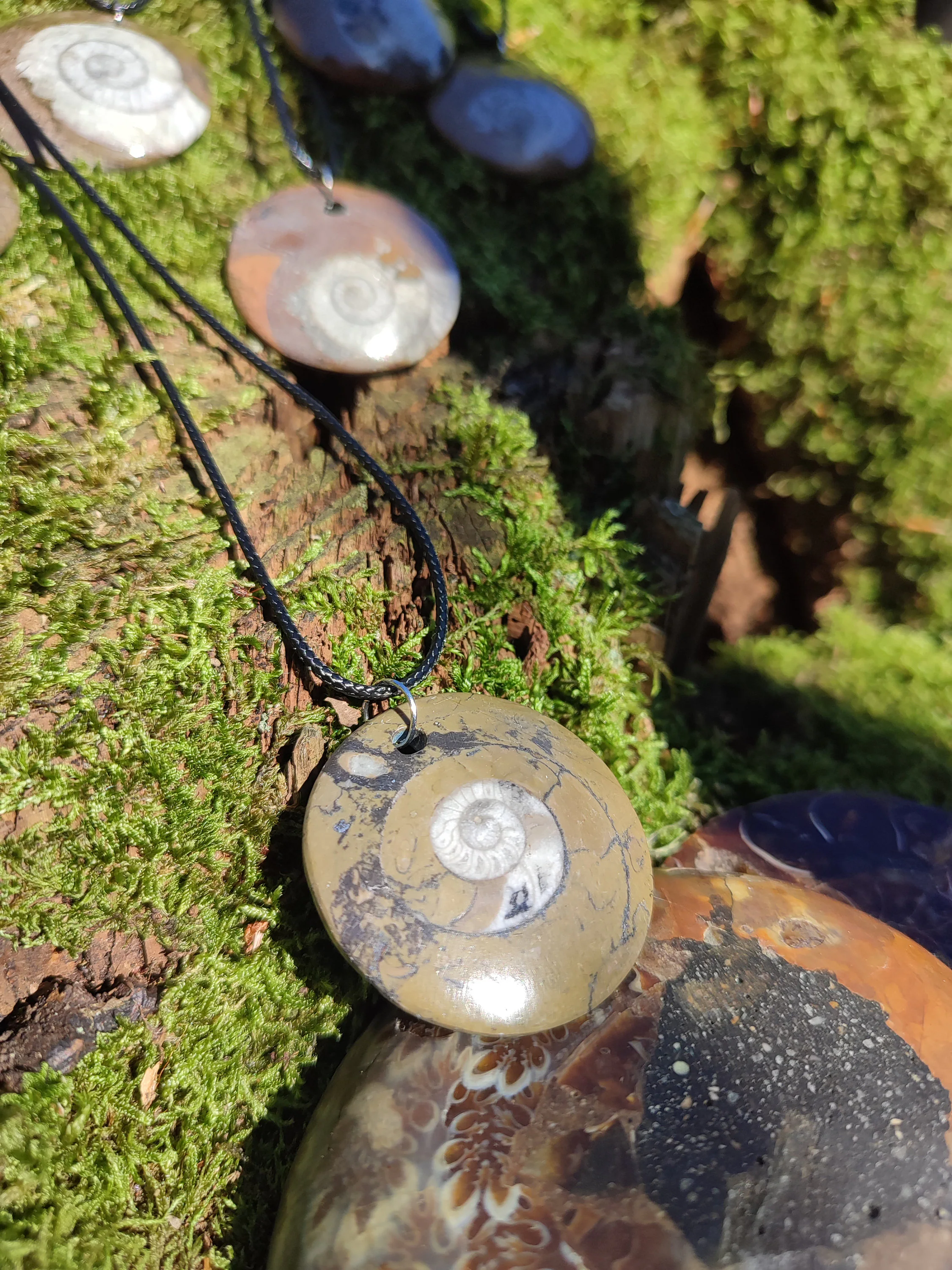 Pendentif en Ammonite avec cordon