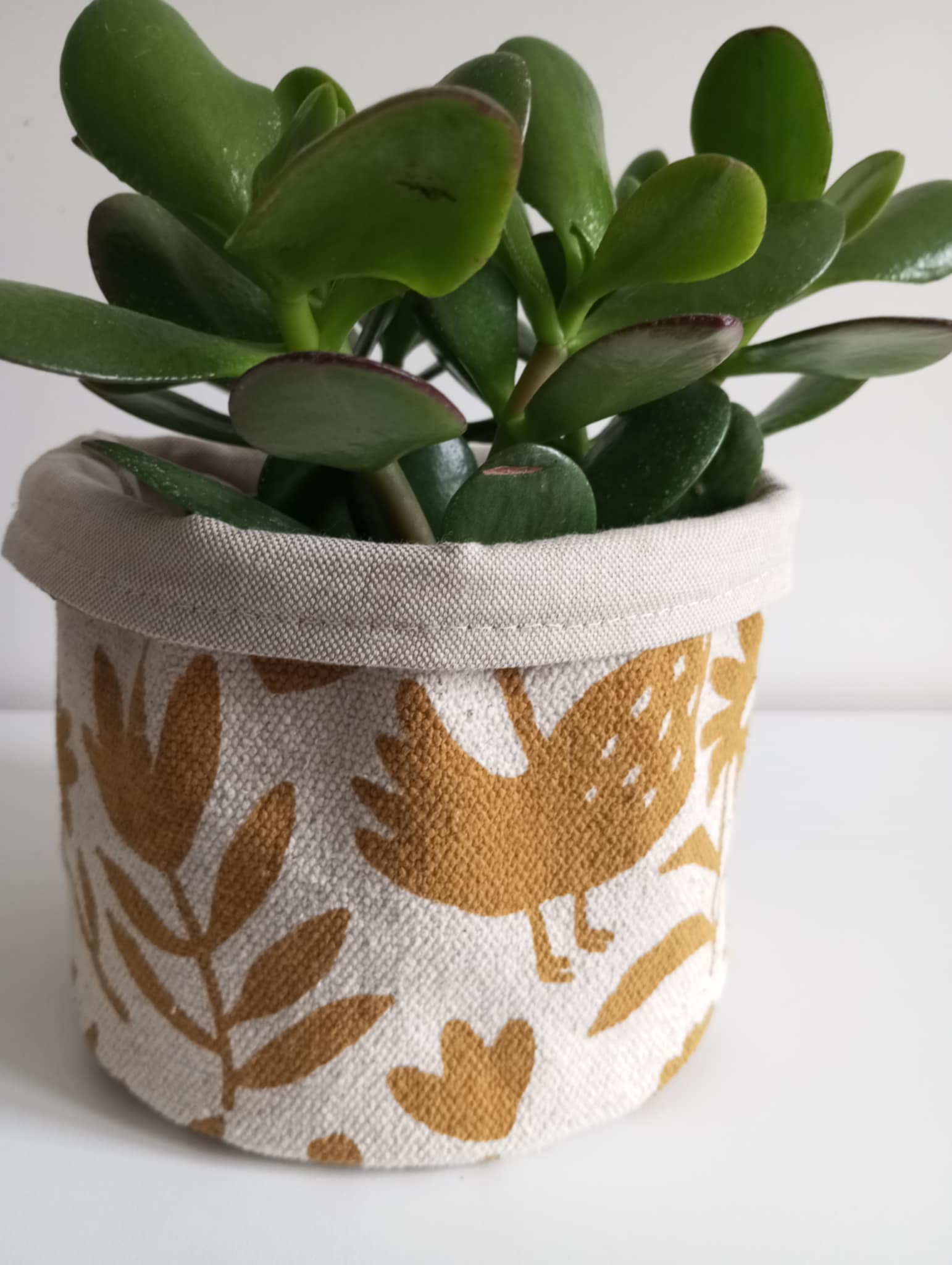 Cache pot motif prymitif