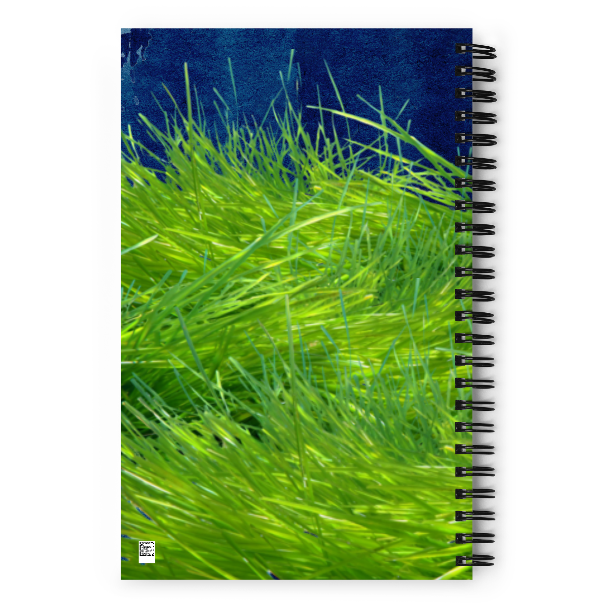 cuaderno POSIDONIA
