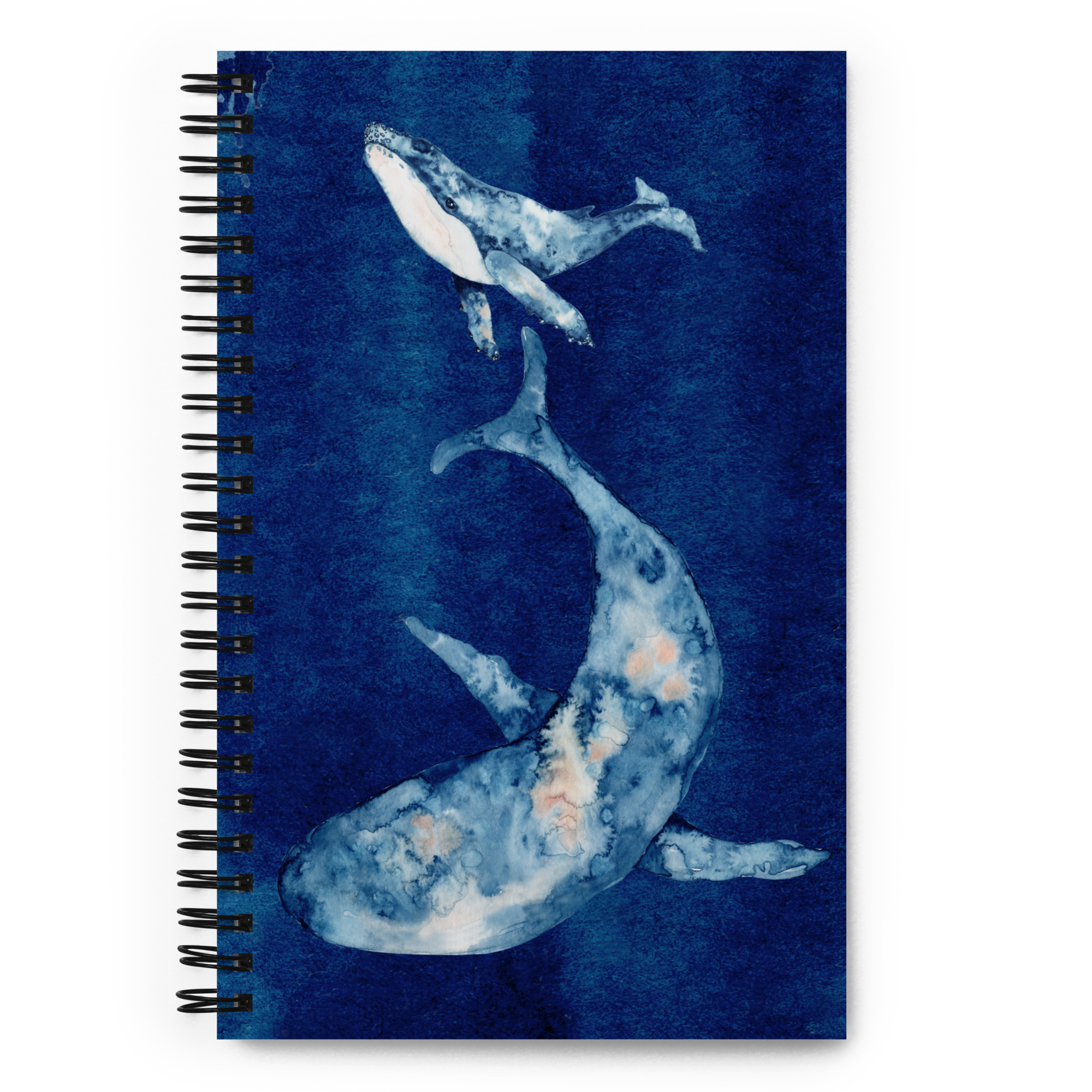 cuaderno BALLENA