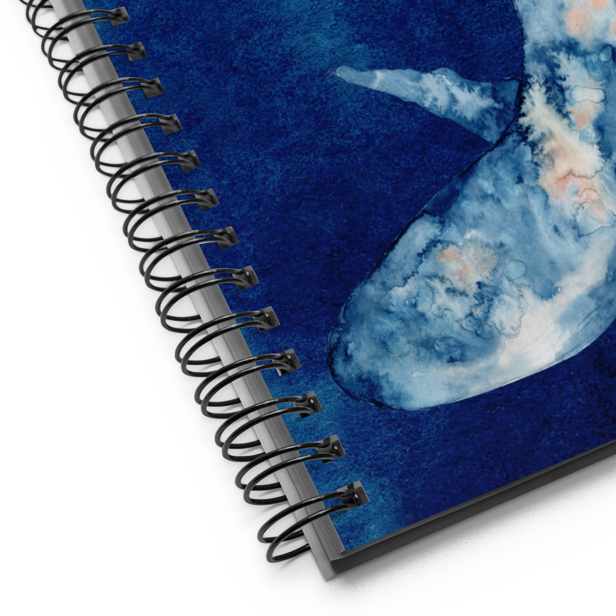 cuaderno BALLENA
