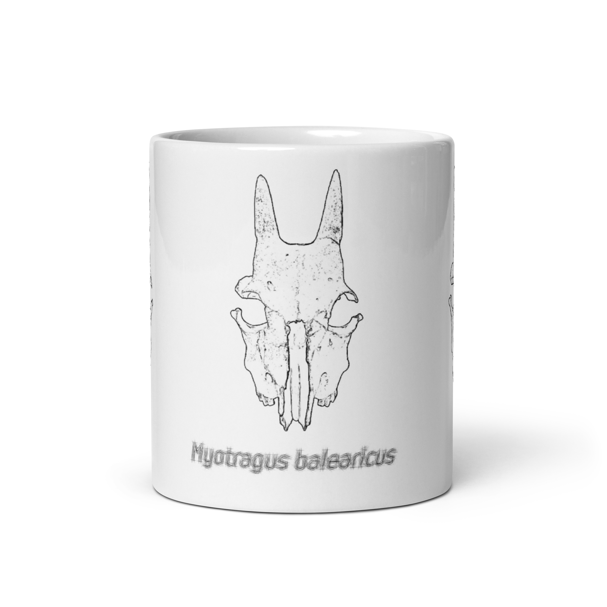 Taza con cráneo de Myotragus balearicus