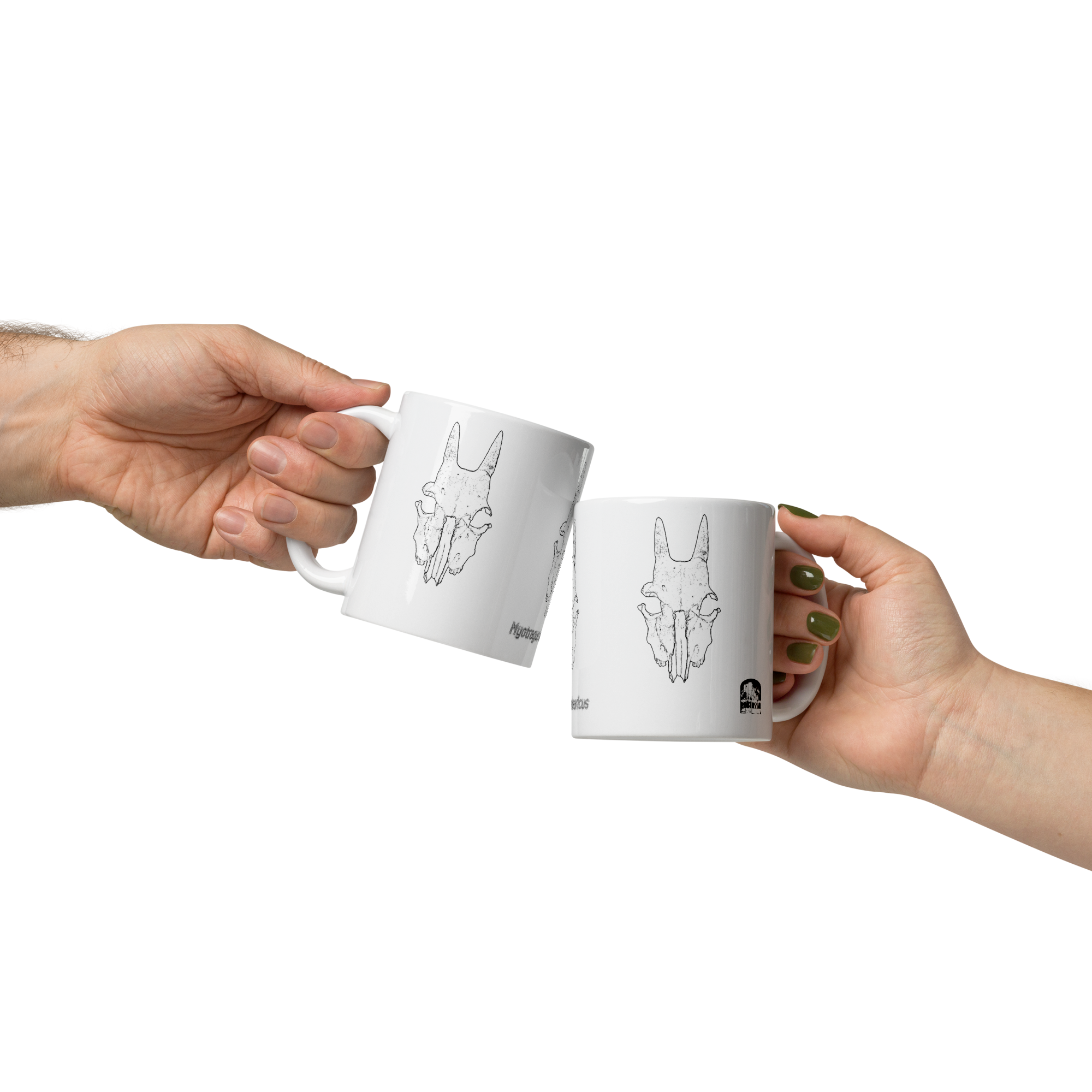 Taza con cráneo de Myotragus balearicus