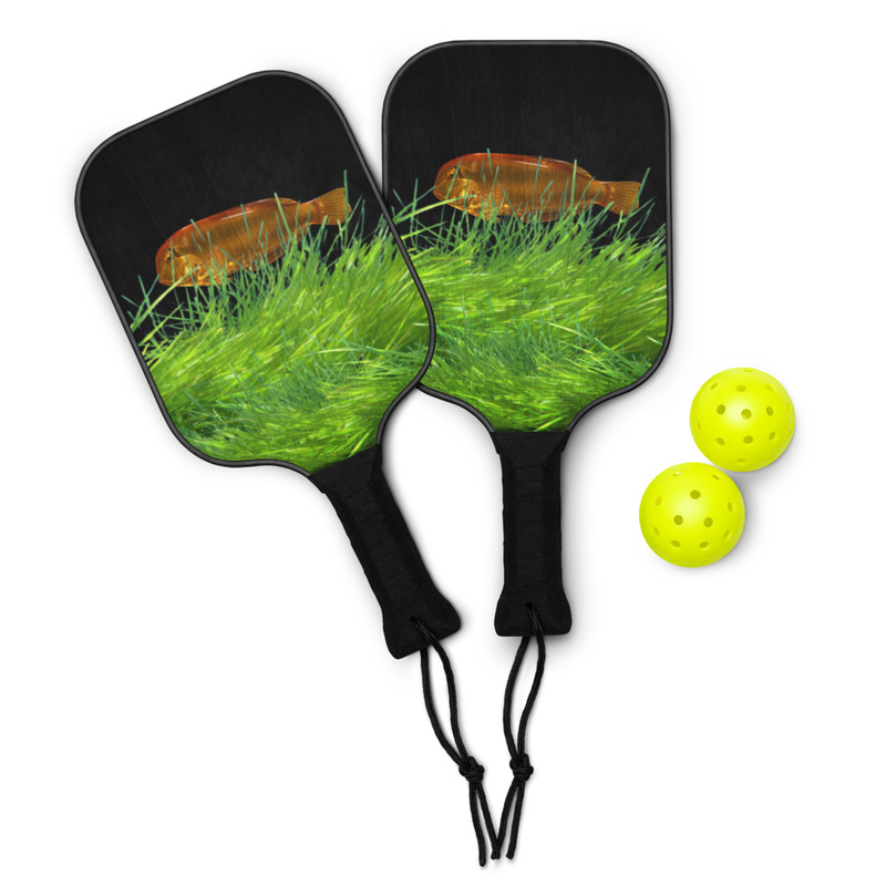 Pickleball paddle set RAOR