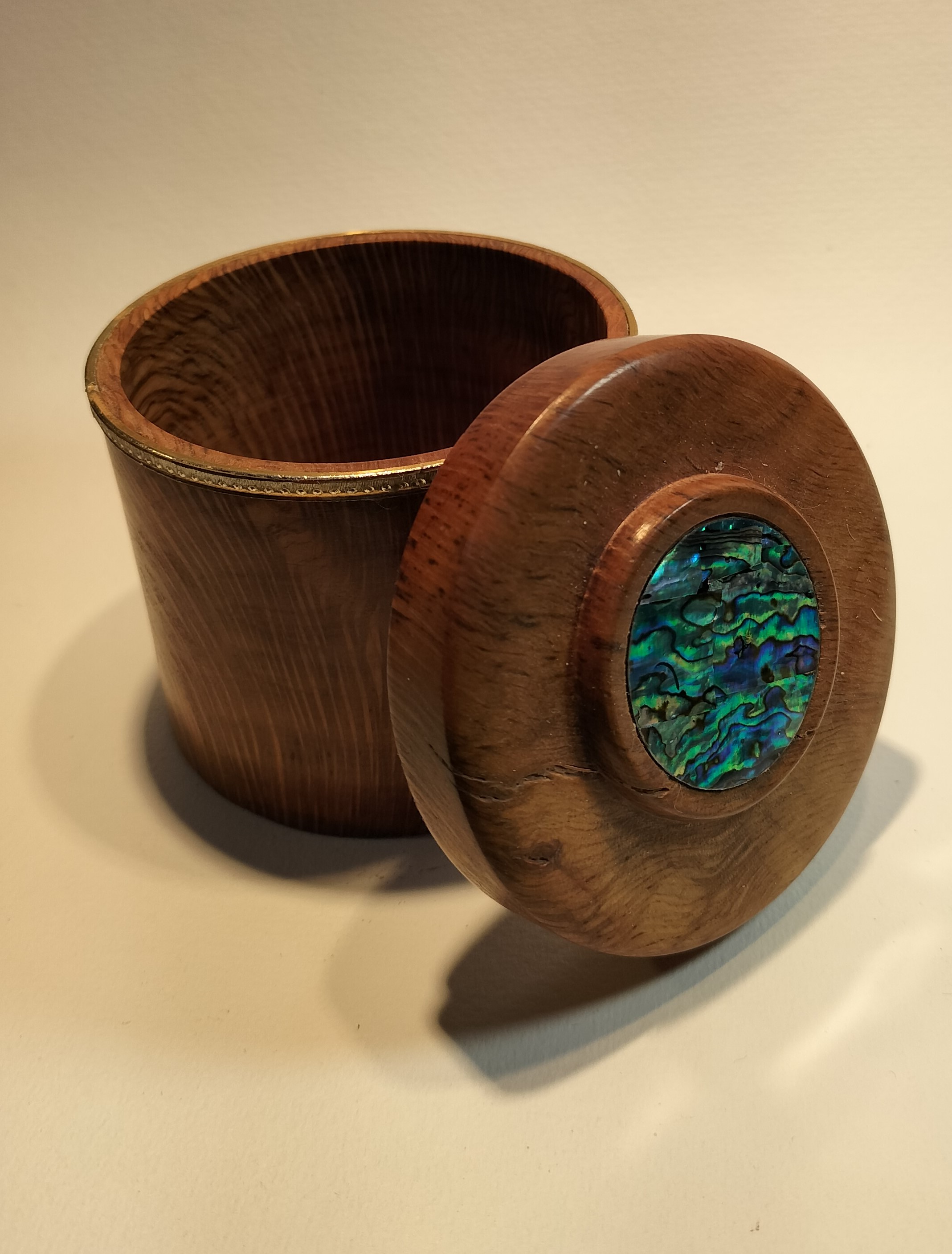 large Paua insert box