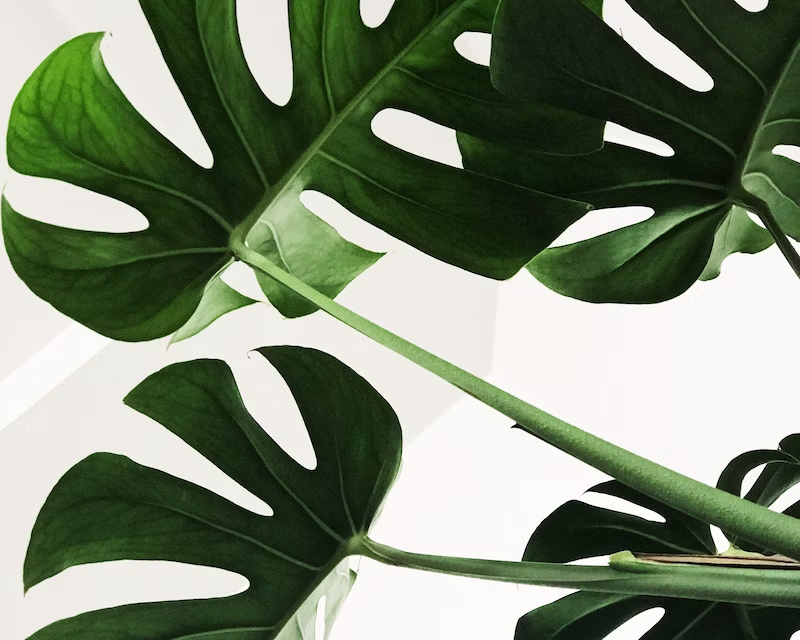 Graduate Check-In Session