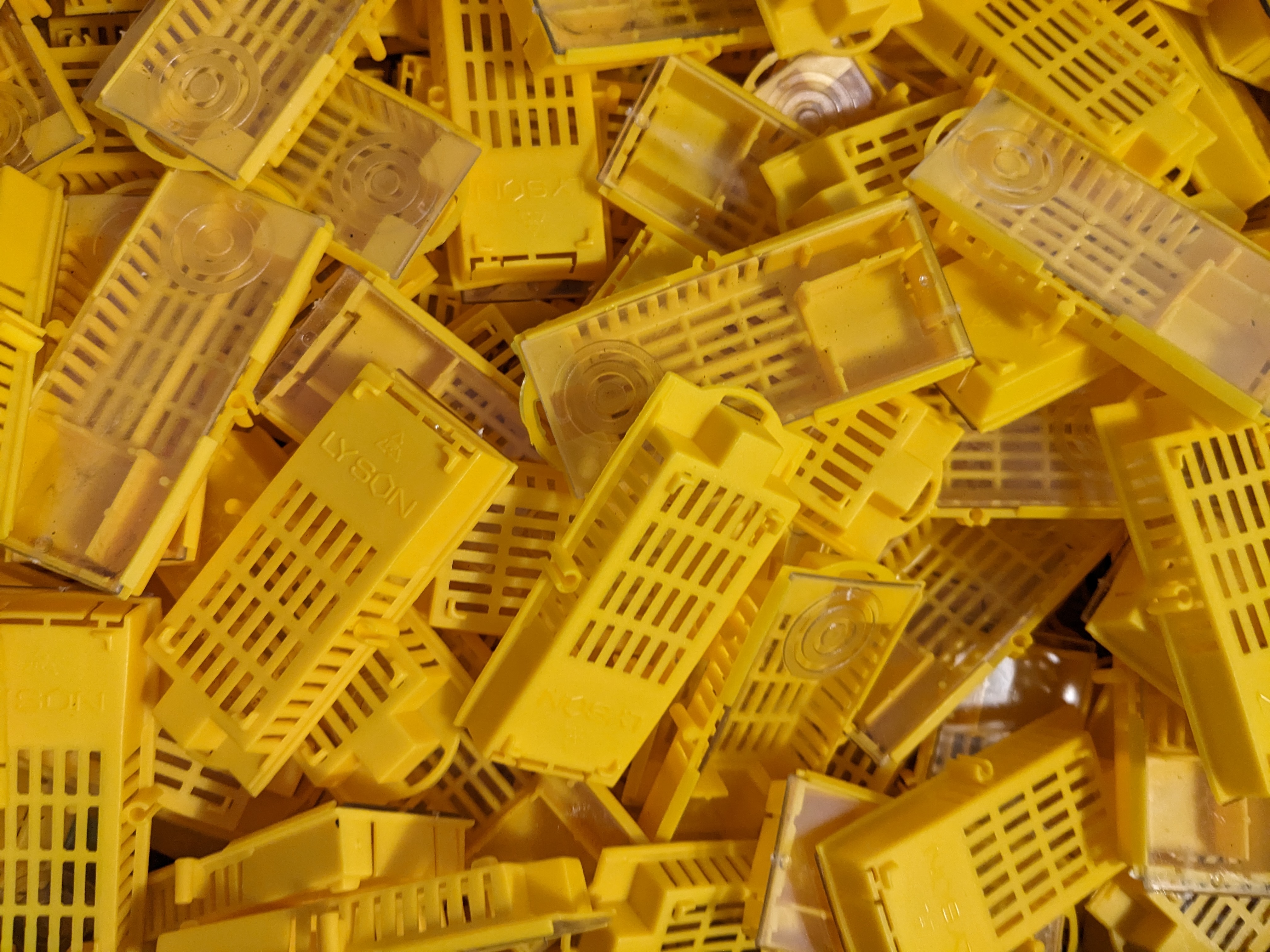 Bienenköniginnen Zusetz- und Versandkäfig (10 Stk bis 1000 Stk)