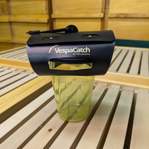 VespaCatch - Falle für asiatische Hornisse