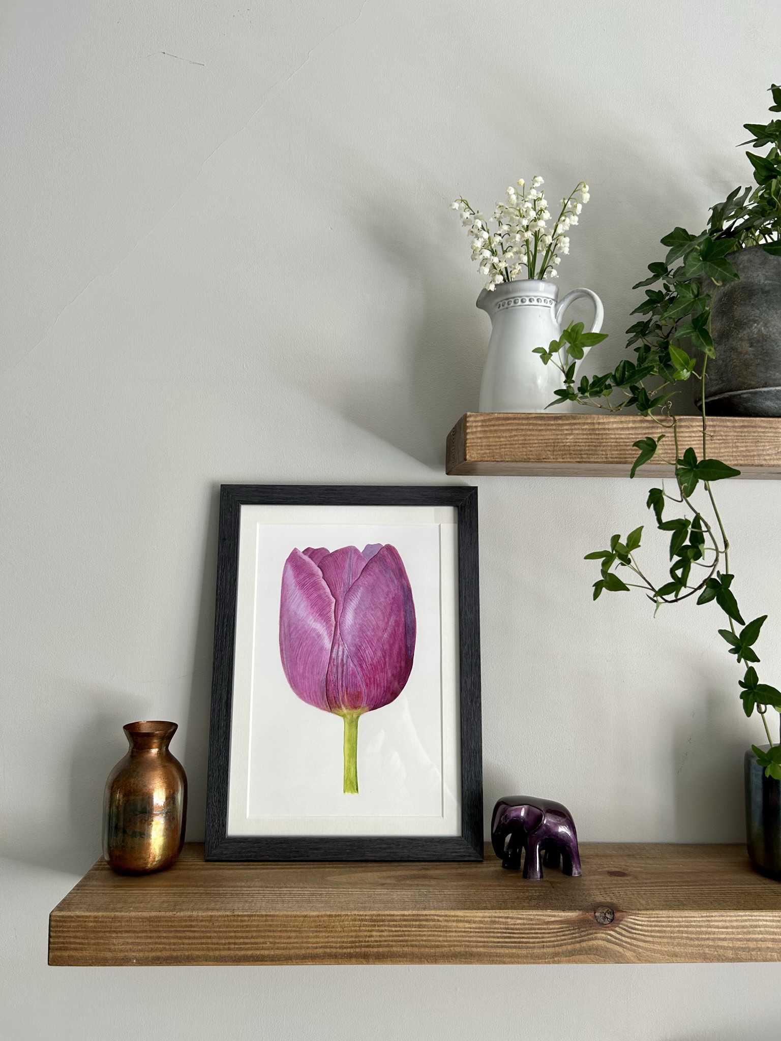 Purple Tulip I