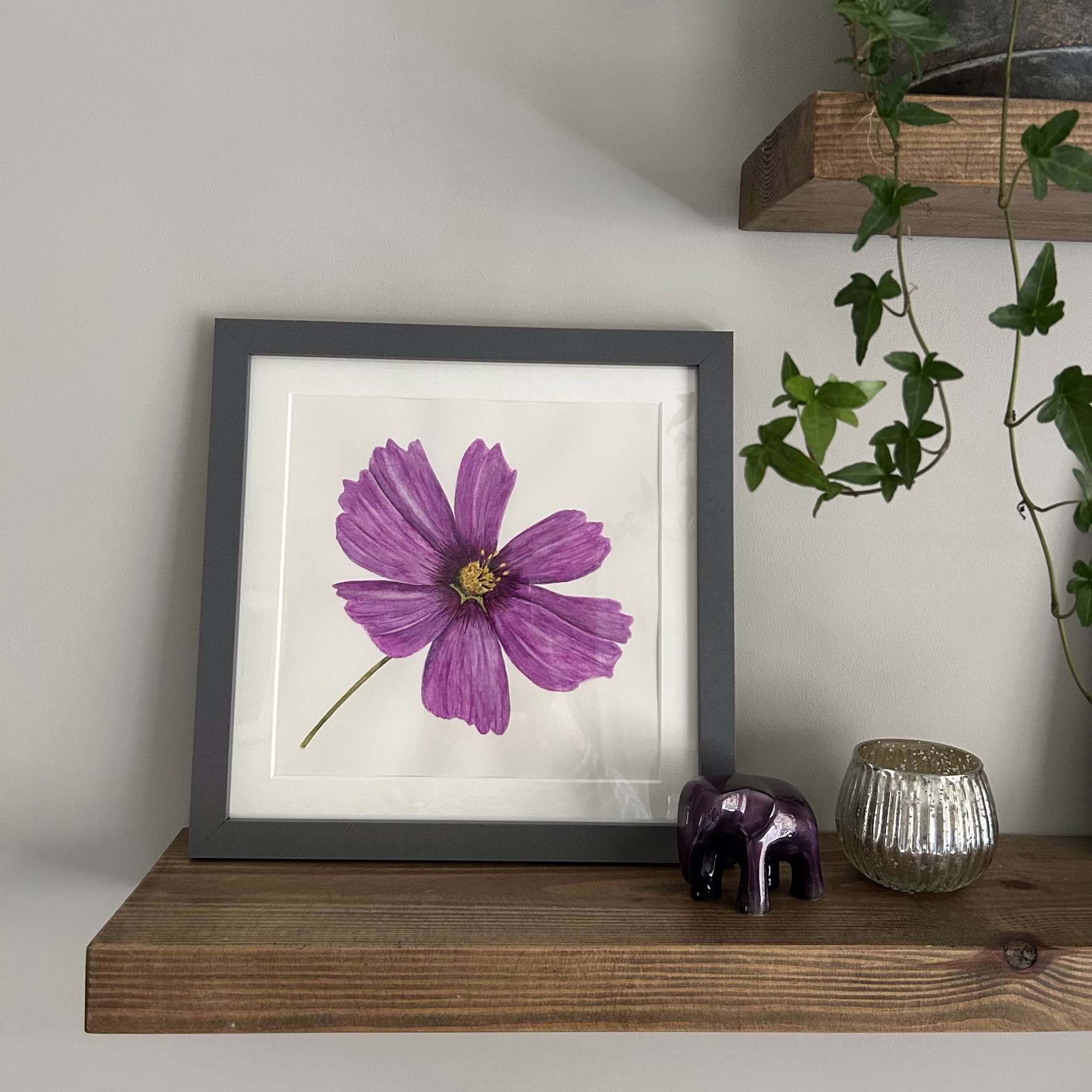 Cosmos I