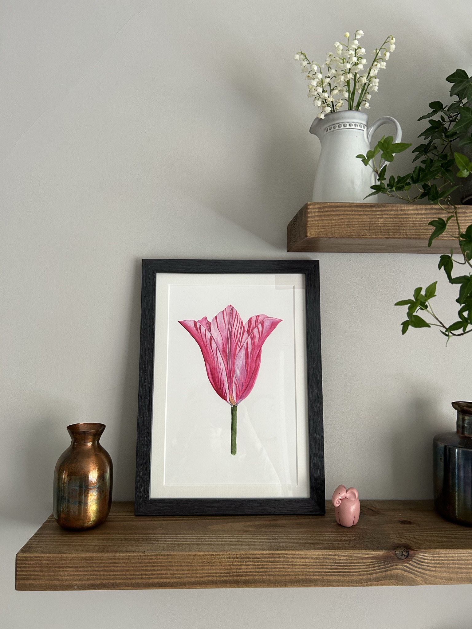 China Pink Tulip