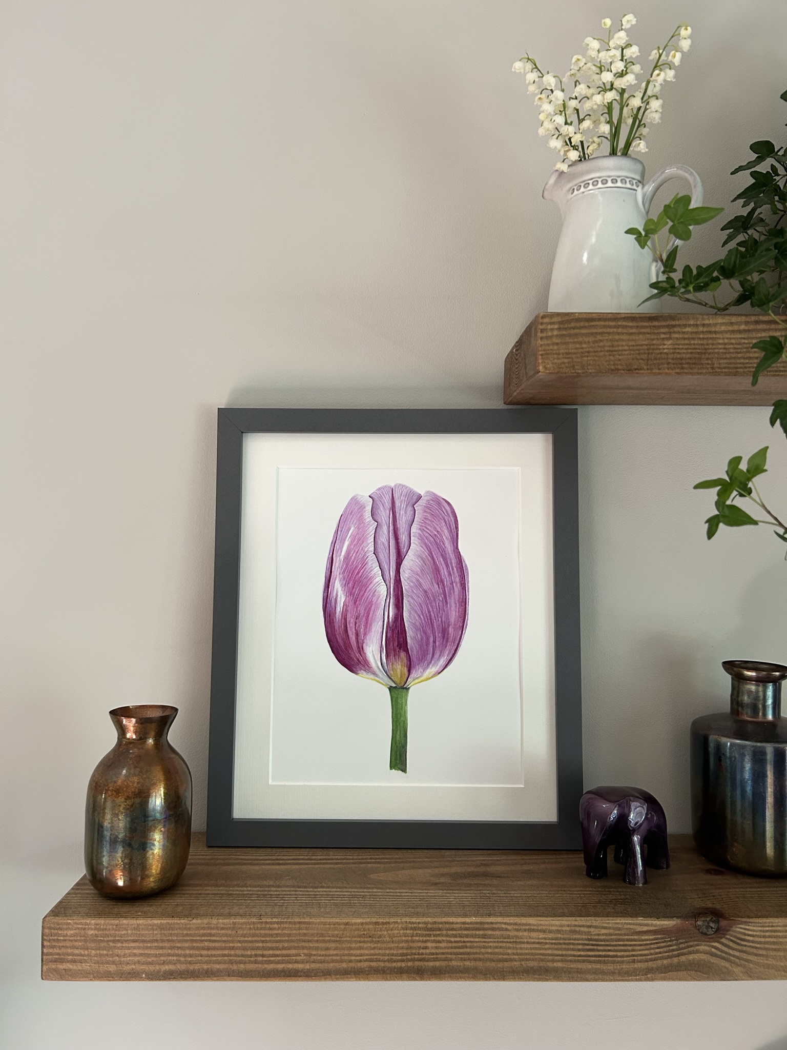 Lilac Tulip