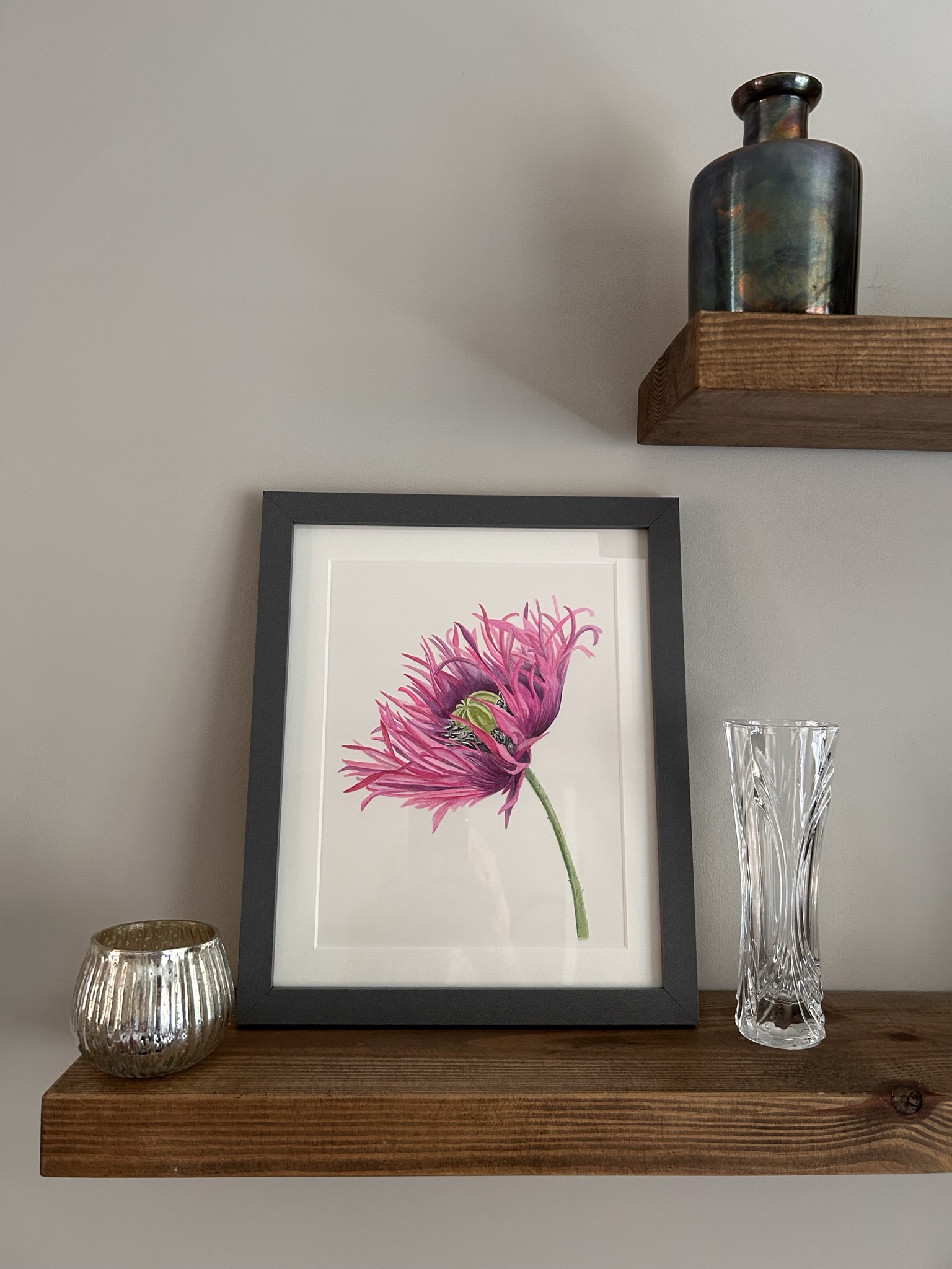 Oriental Poppy