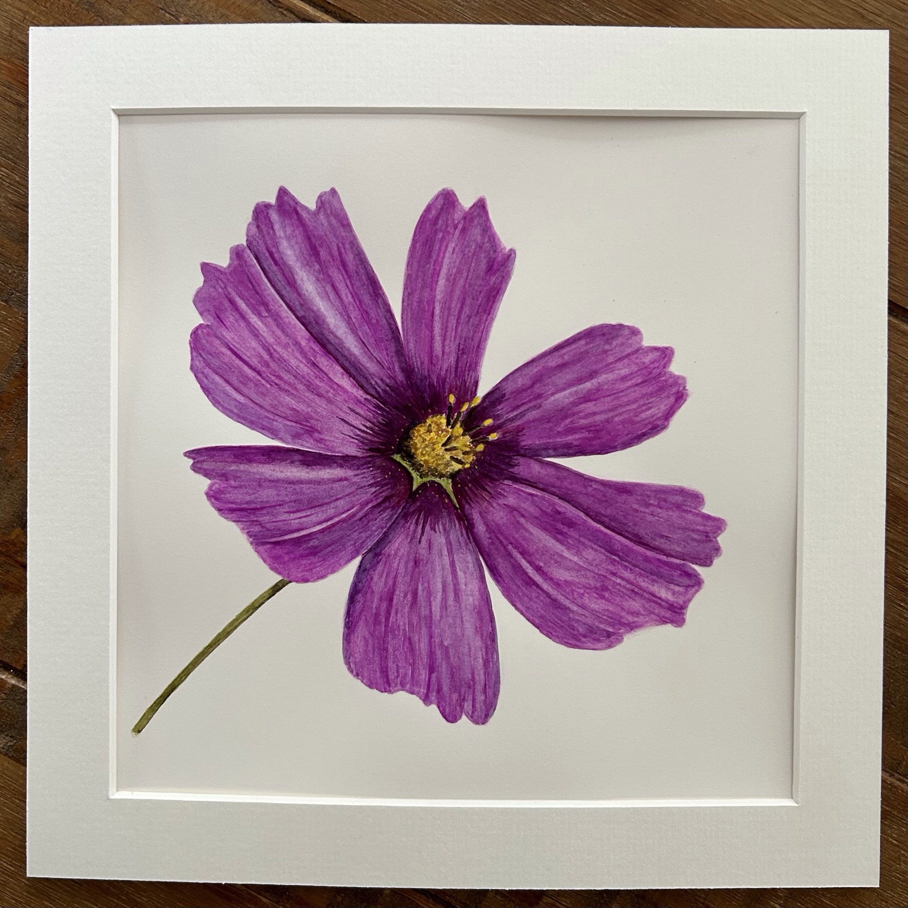 Cosmos I