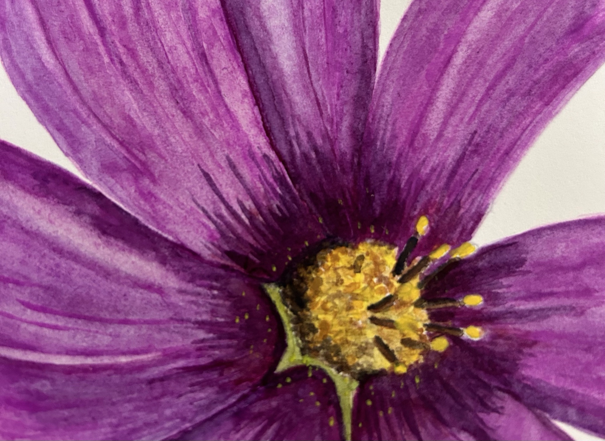 Cosmos I