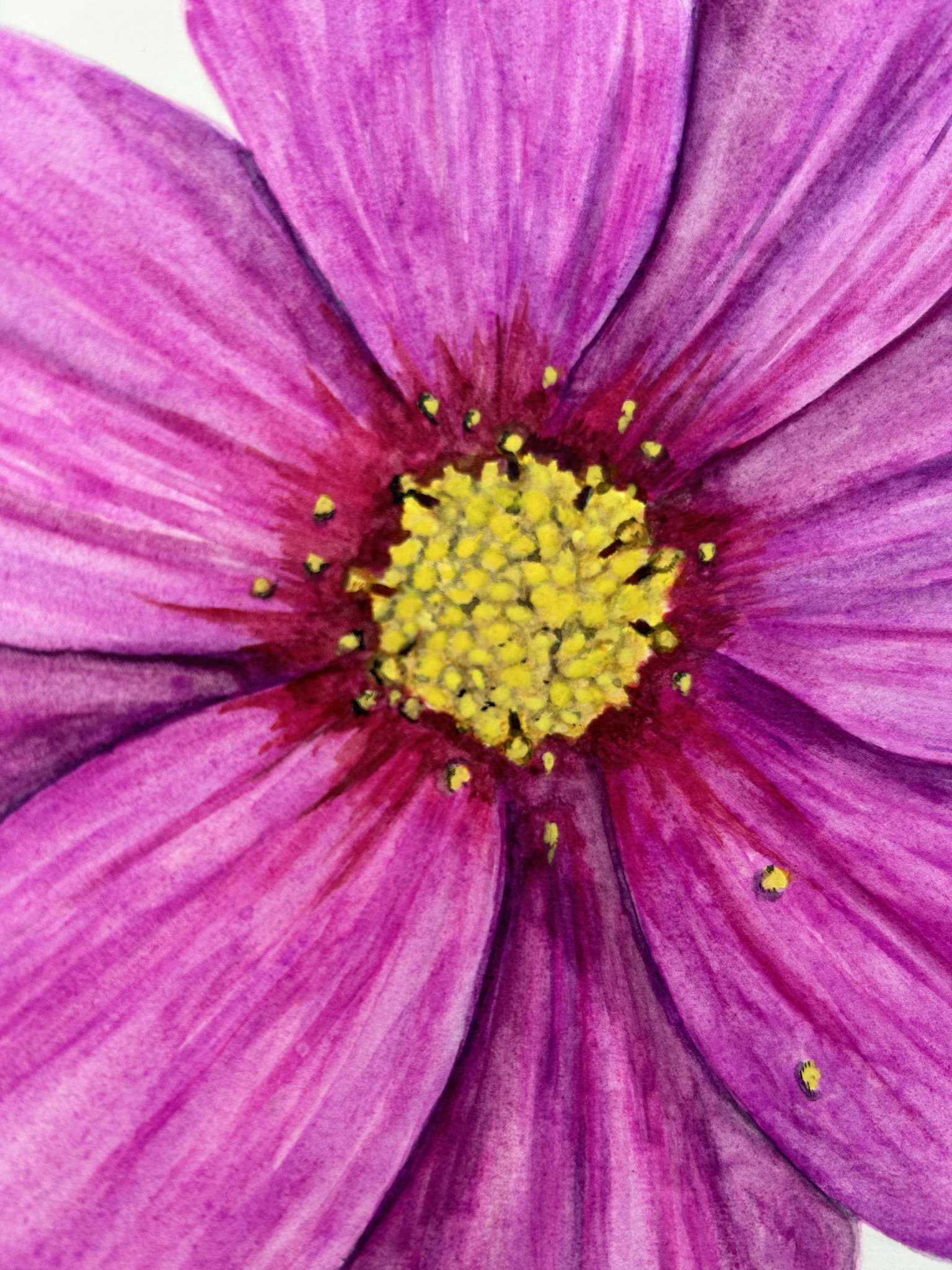 Cosmos II