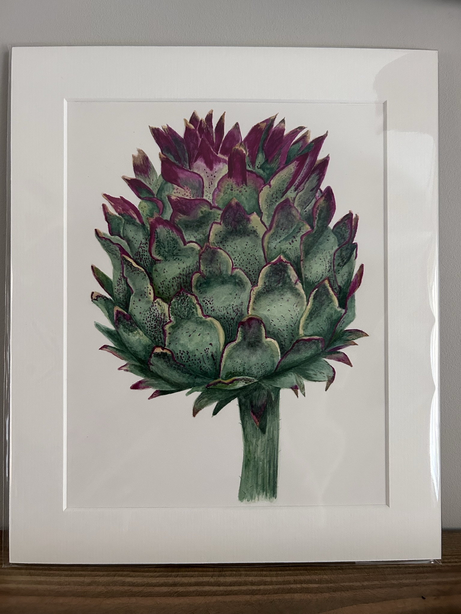 Thistle Artichoke