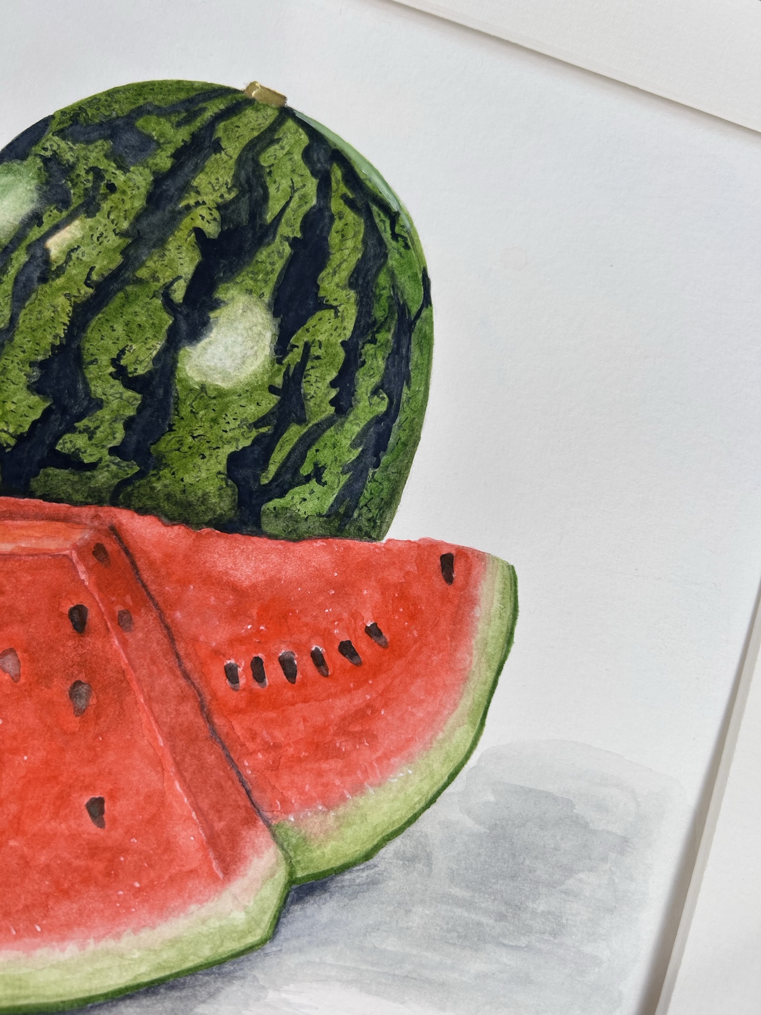 Watermelon