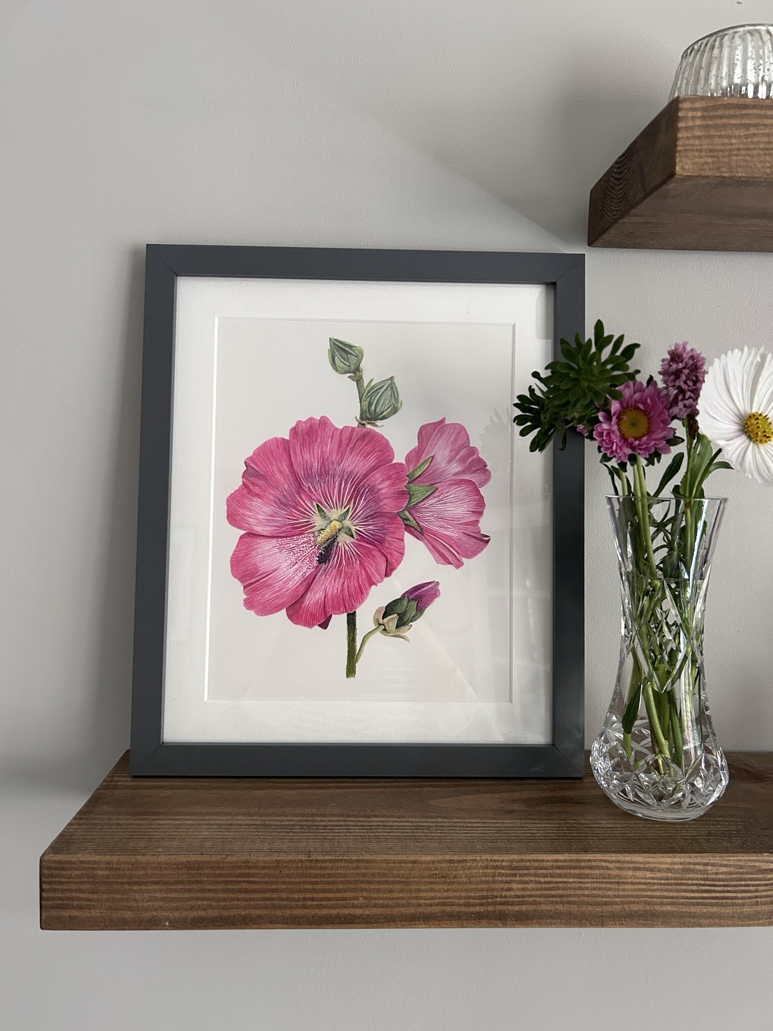 East Meon Hollyhock