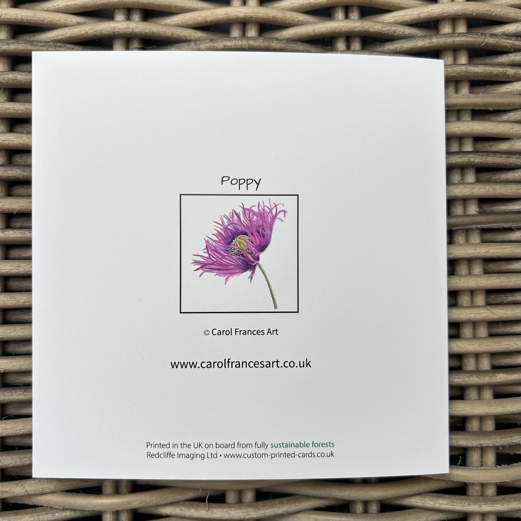 Oriental Poppy