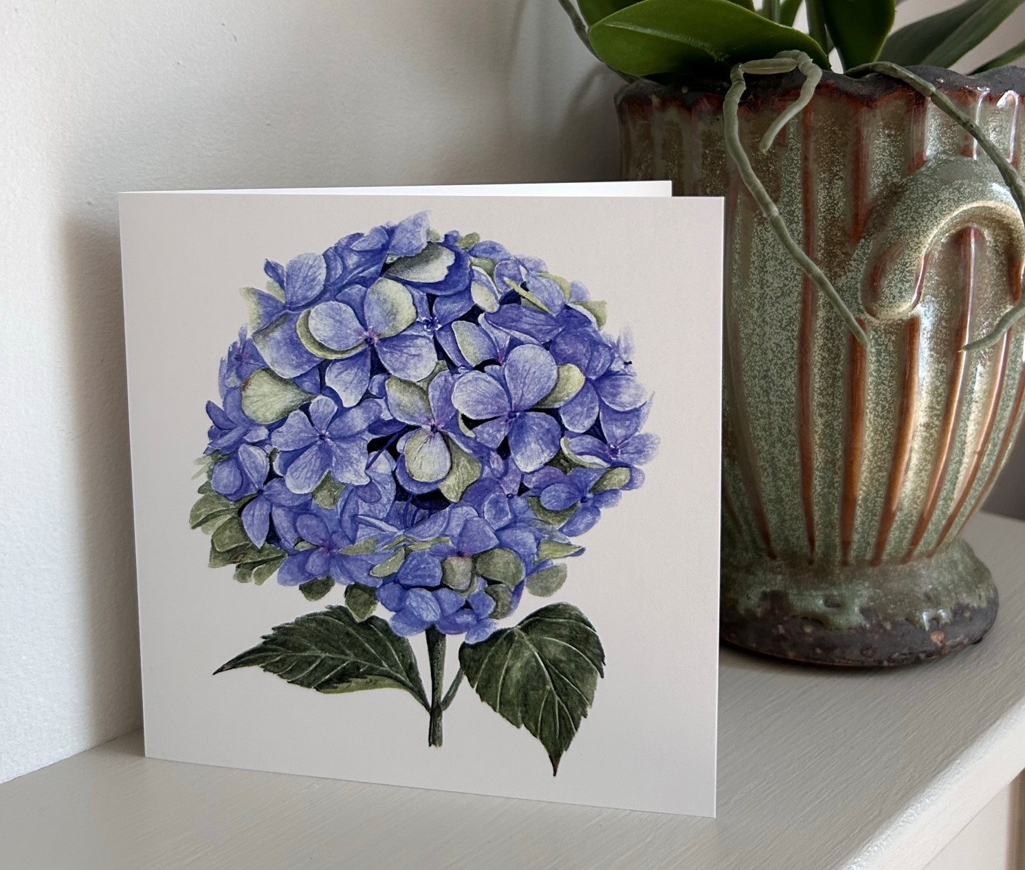 Hydrangea