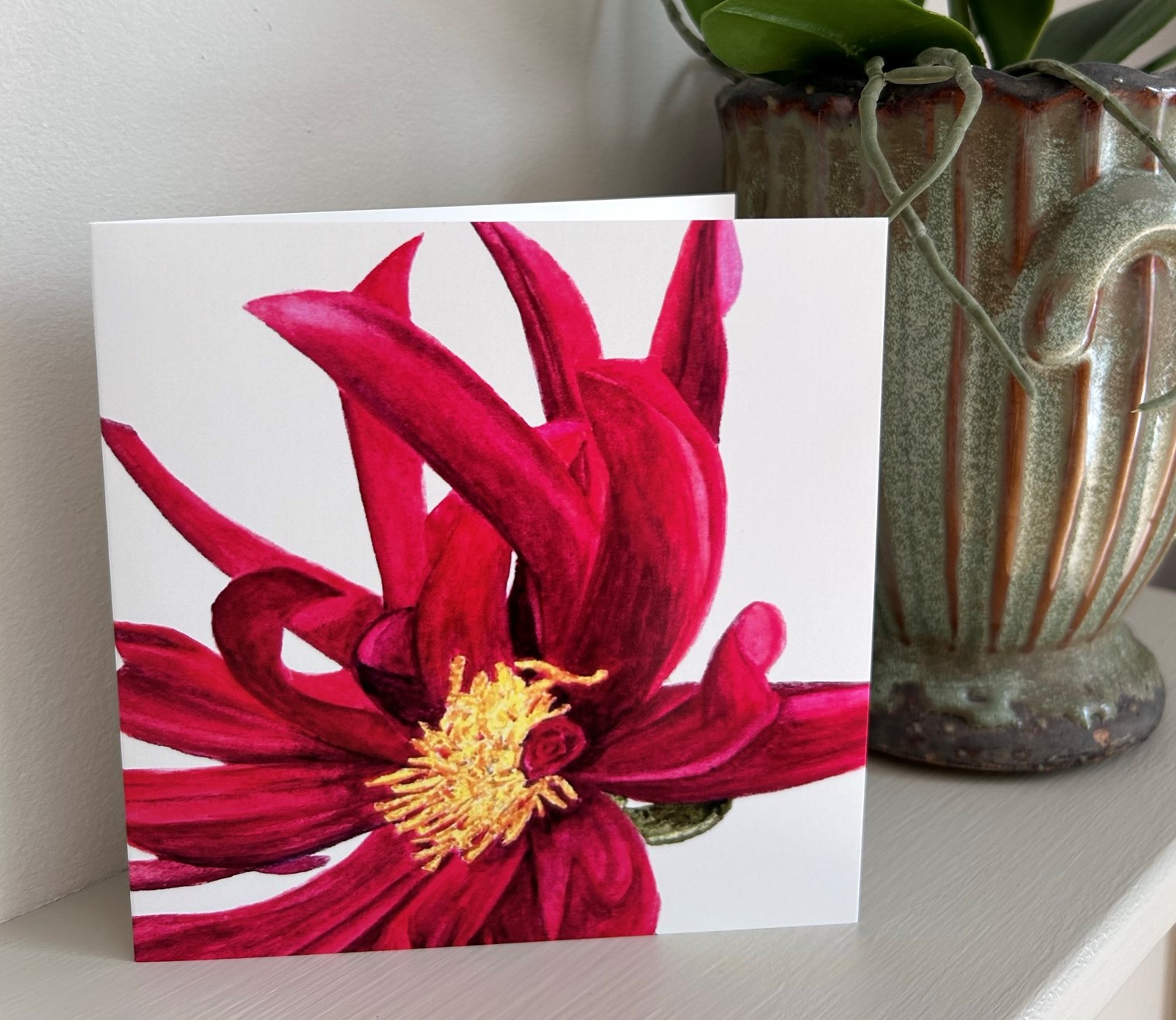 Dahlia (Close Up)
