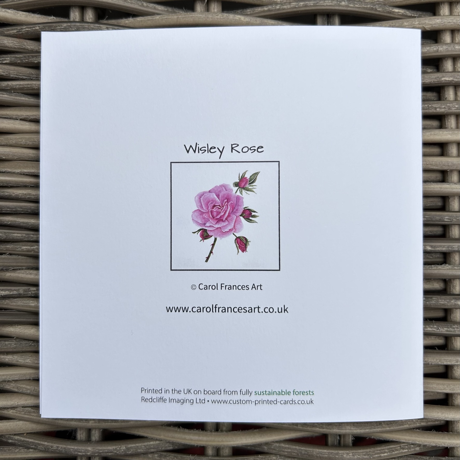 Wisley Rose