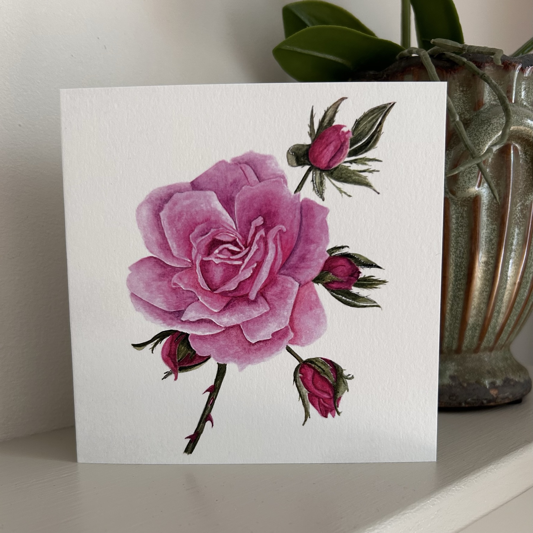 Wisley Rose