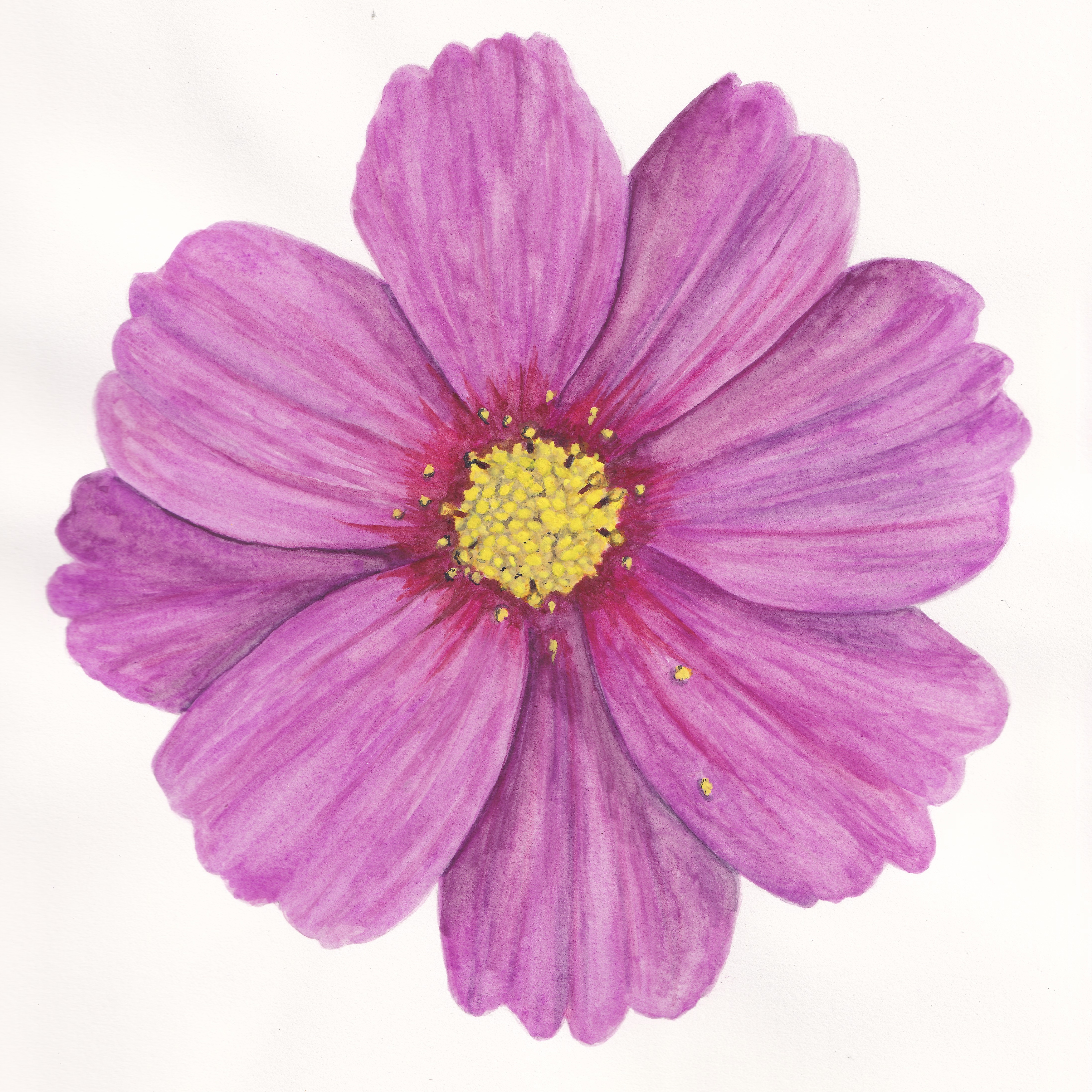 Cosmos II