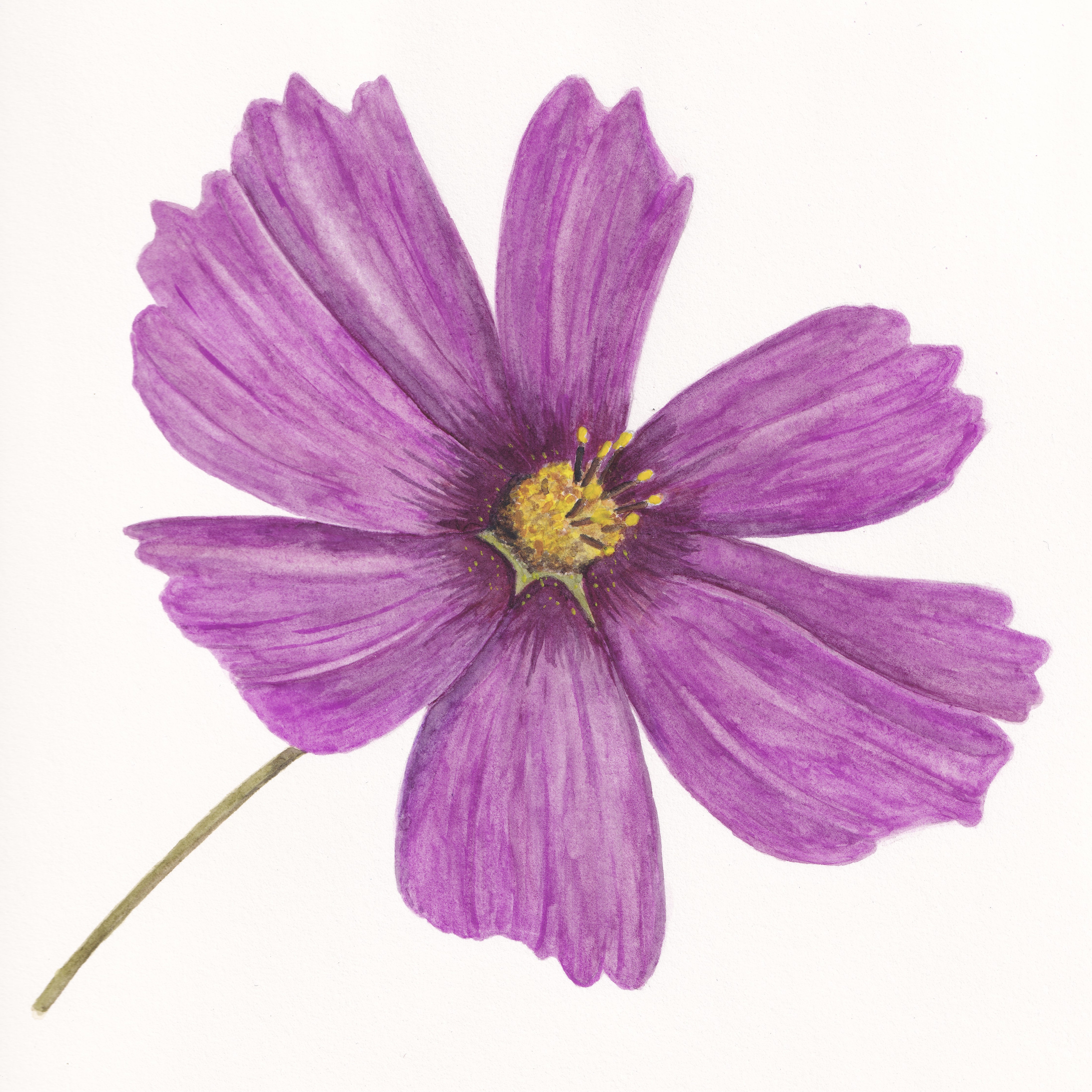 Cosmos I