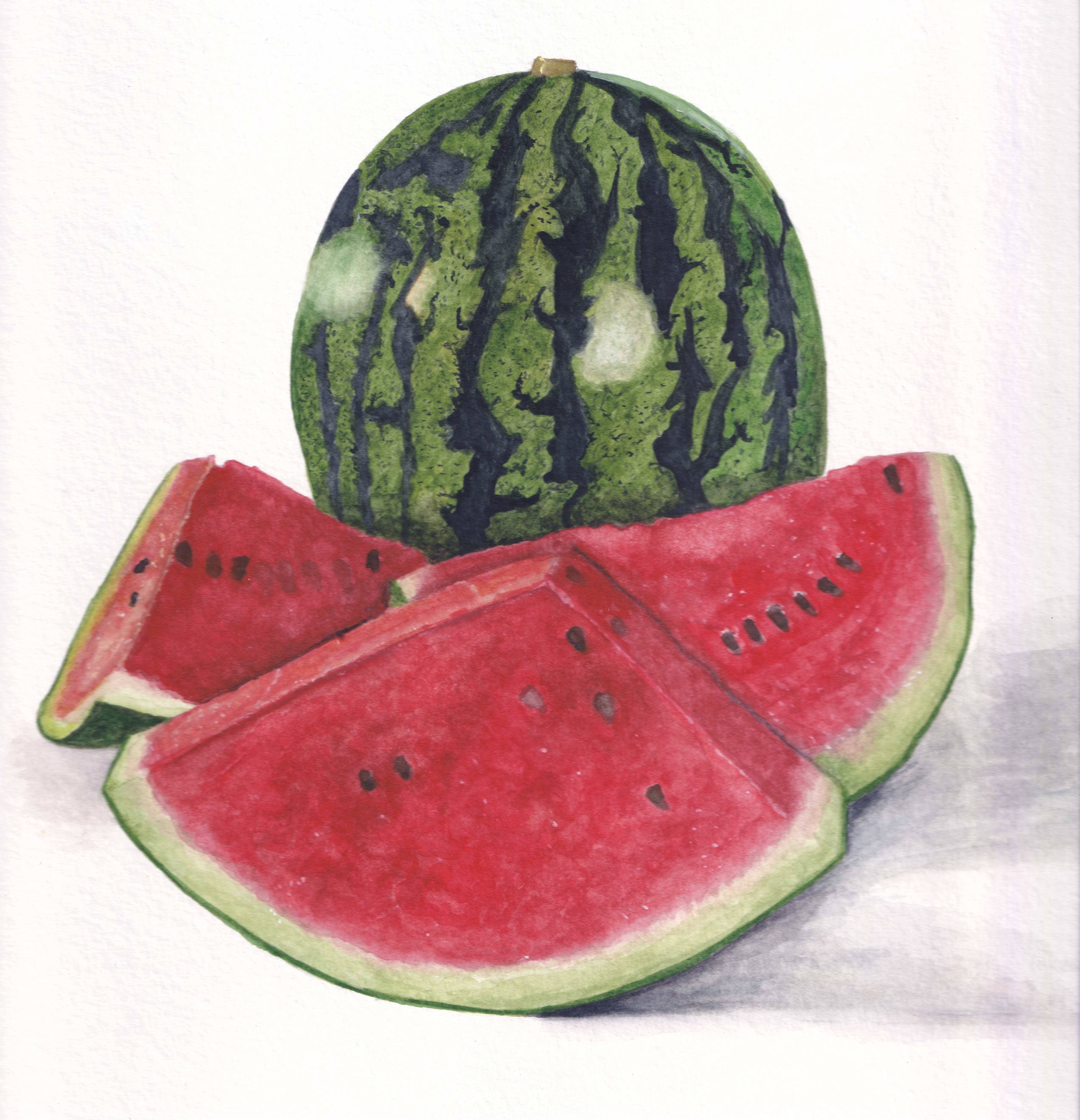 Watermelon