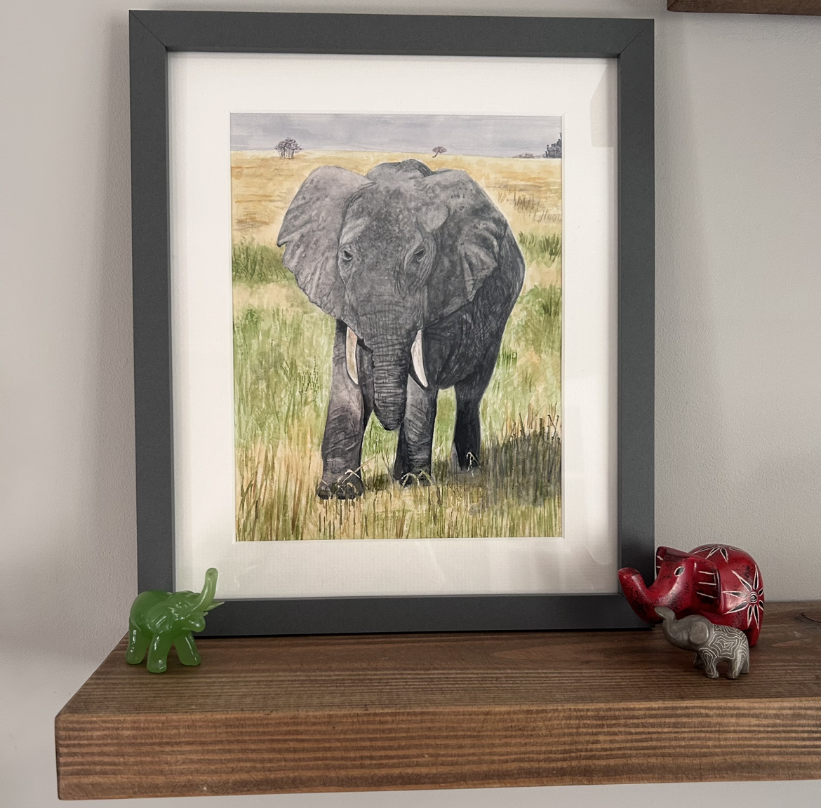 African Elephant