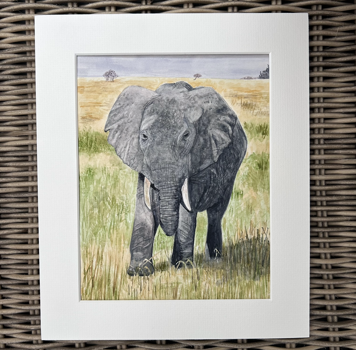 African Elephant