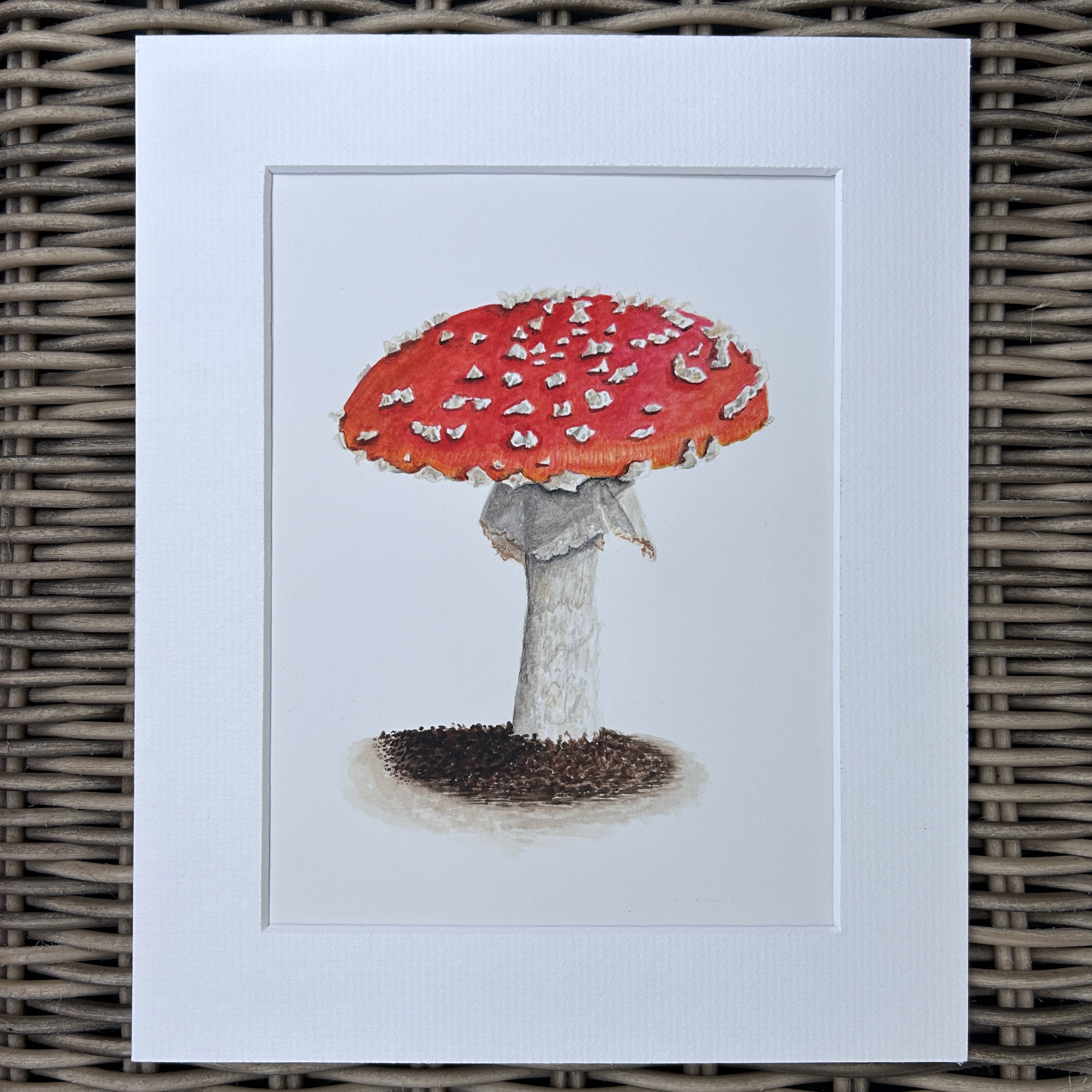 Fly Agaric