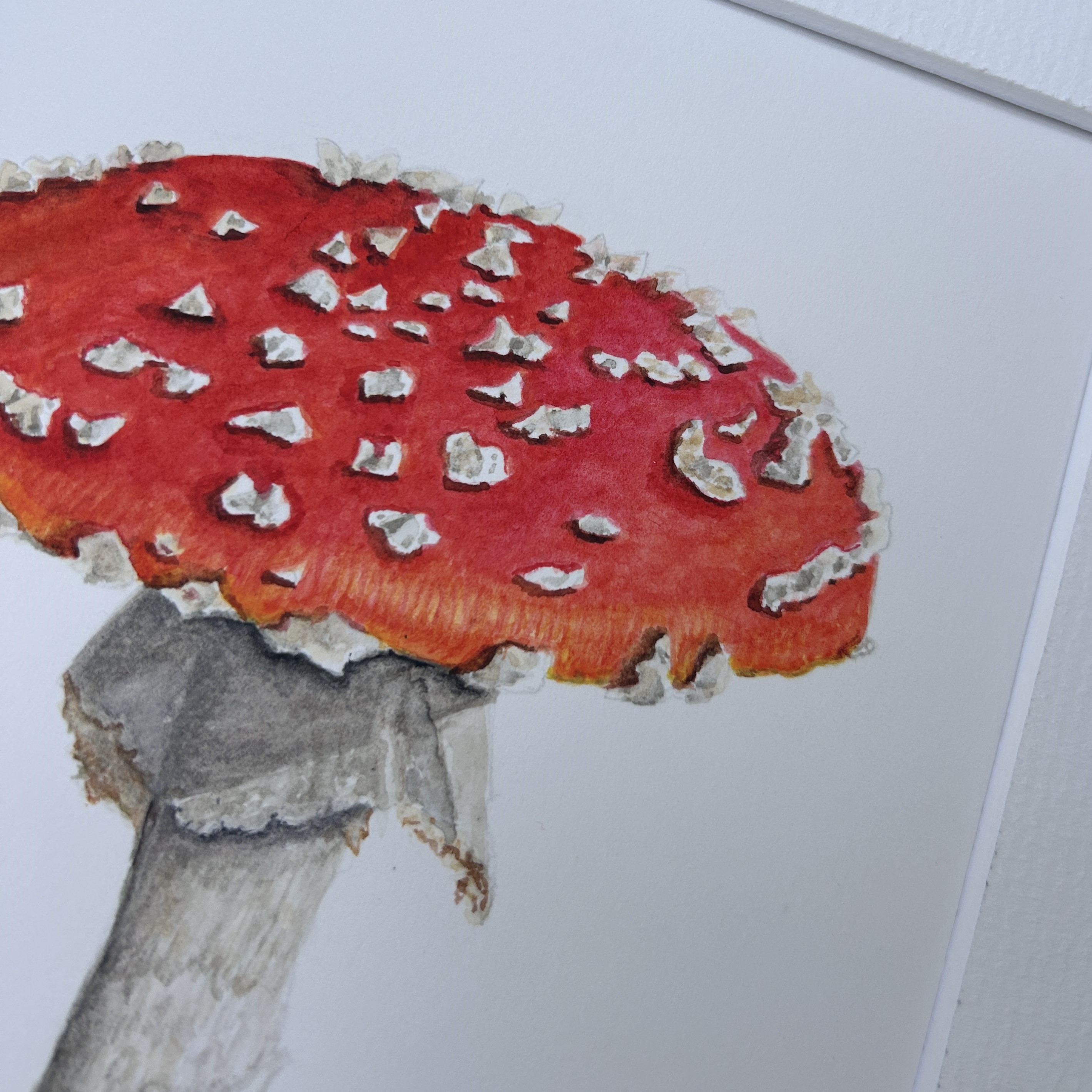 Fly Agaric