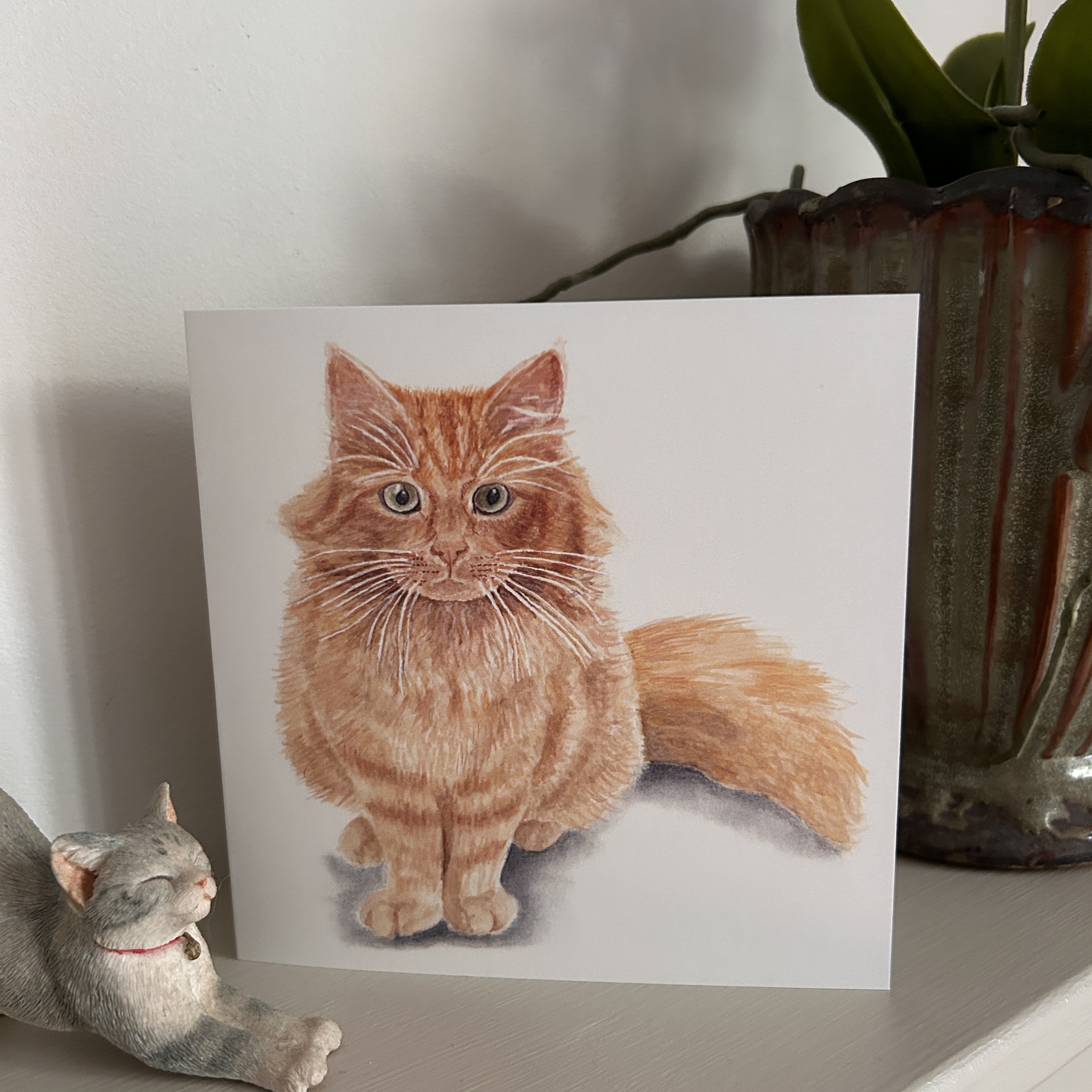 The Best Cat in Town