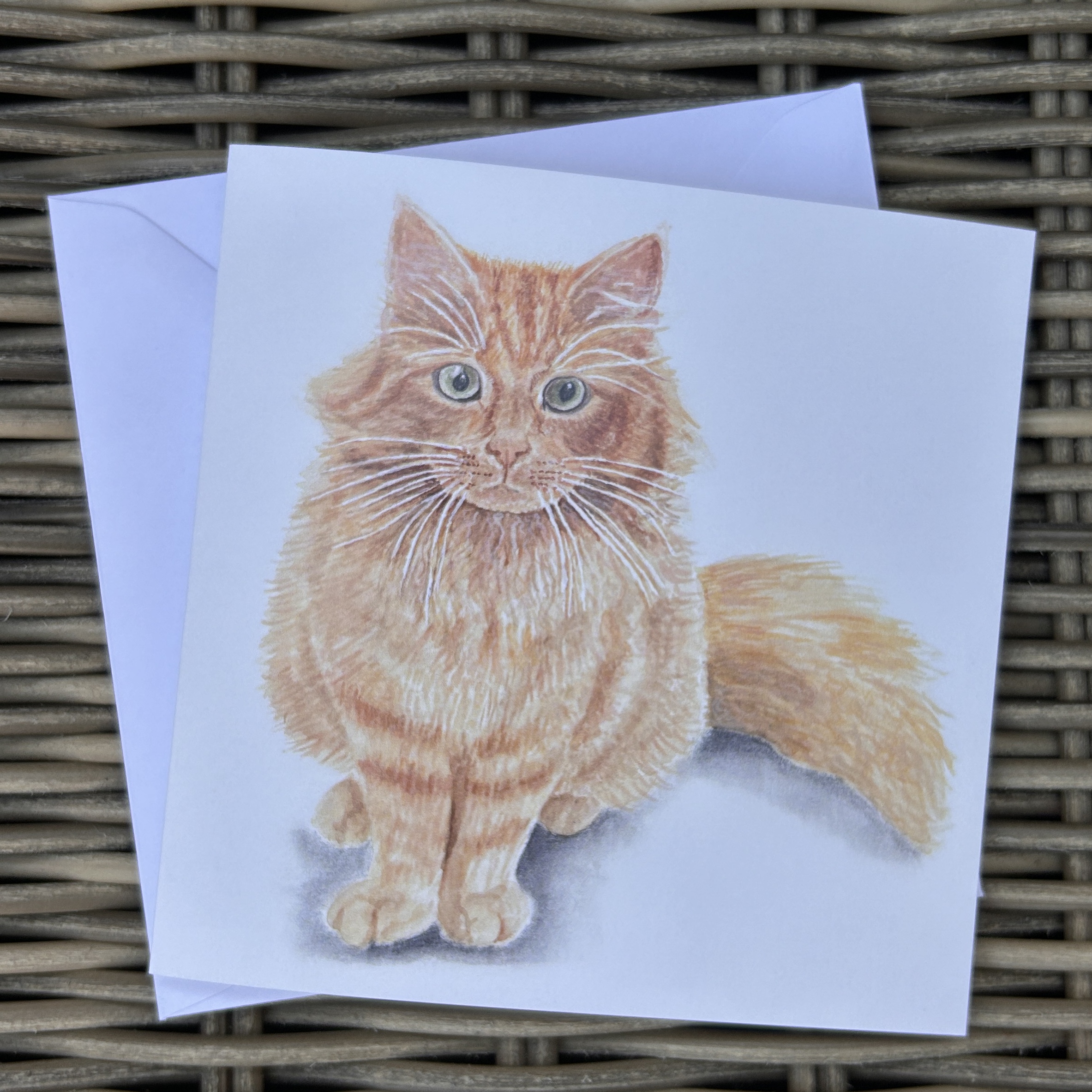 The Best Cat in Town