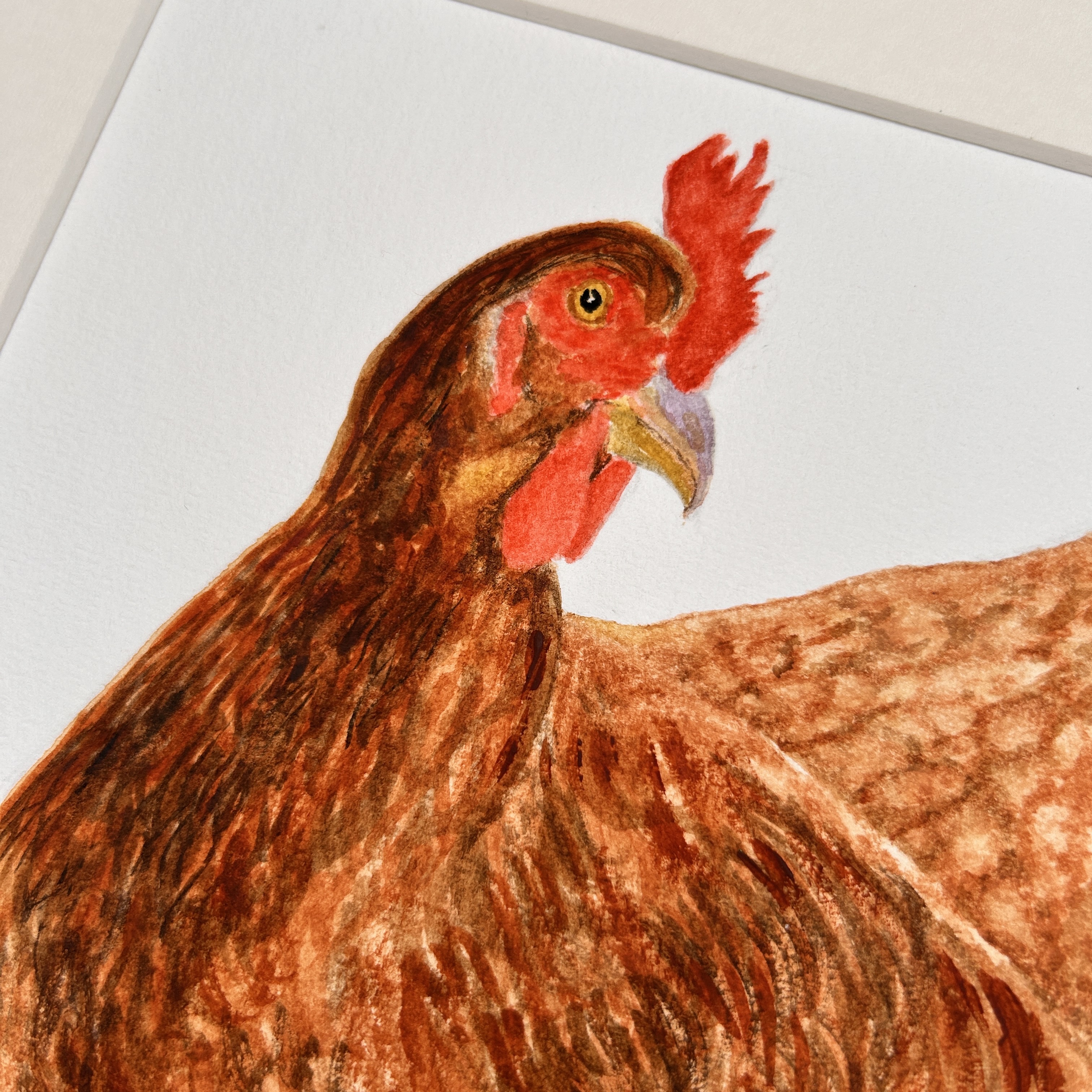 Chicken