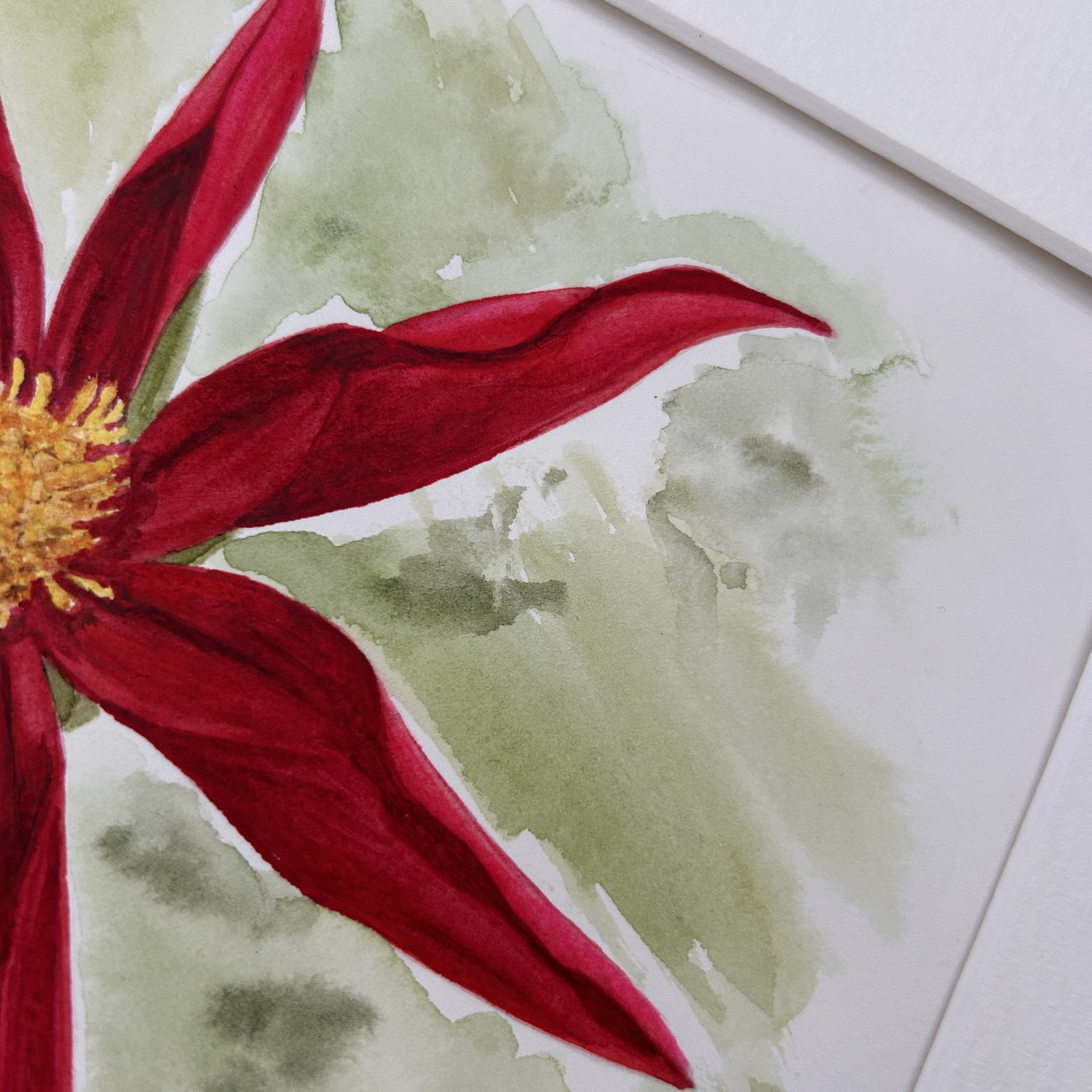 Star Dahlia