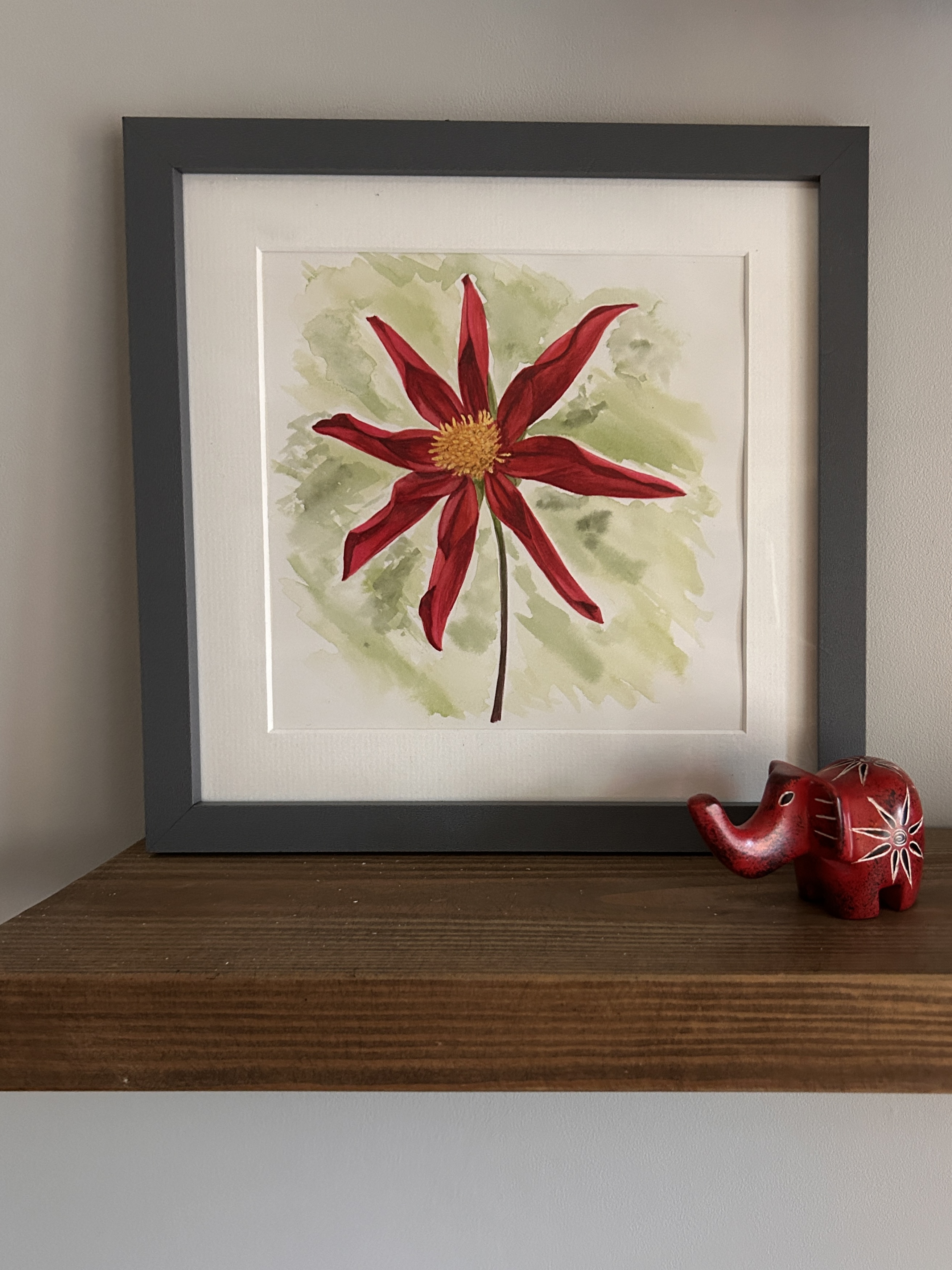 Star Dahlia