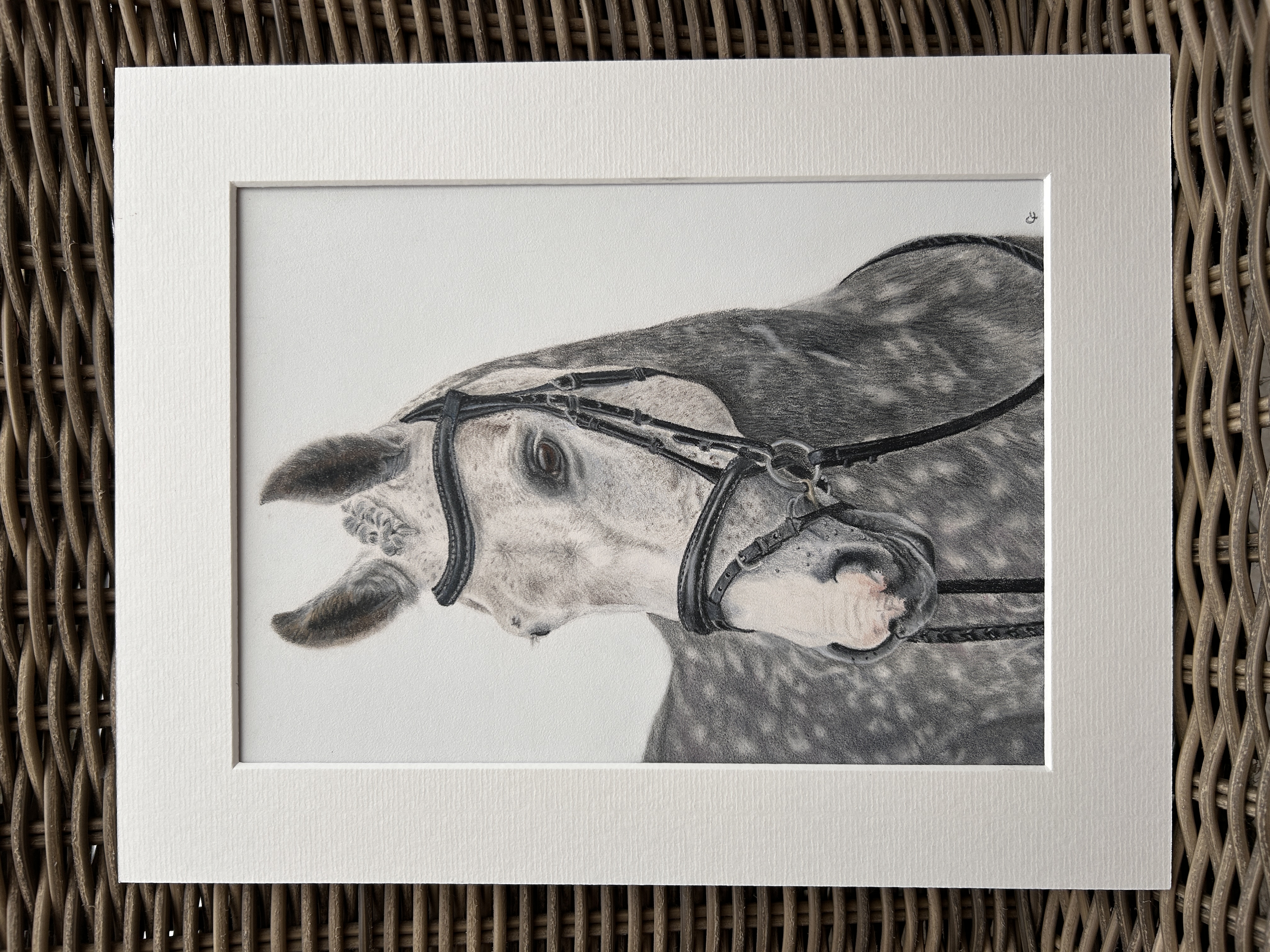 Dapple Grey Horse