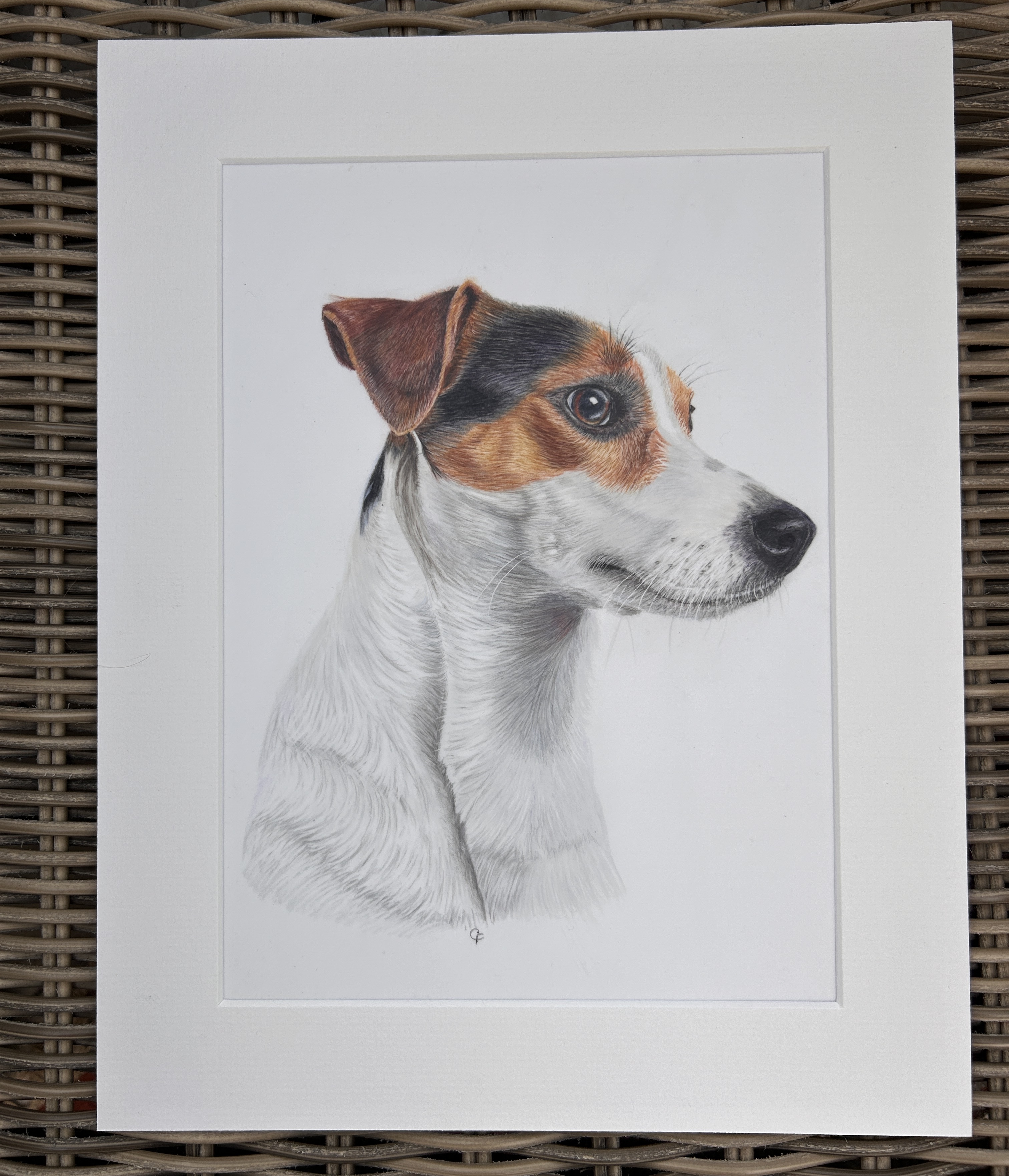 Jack Russell