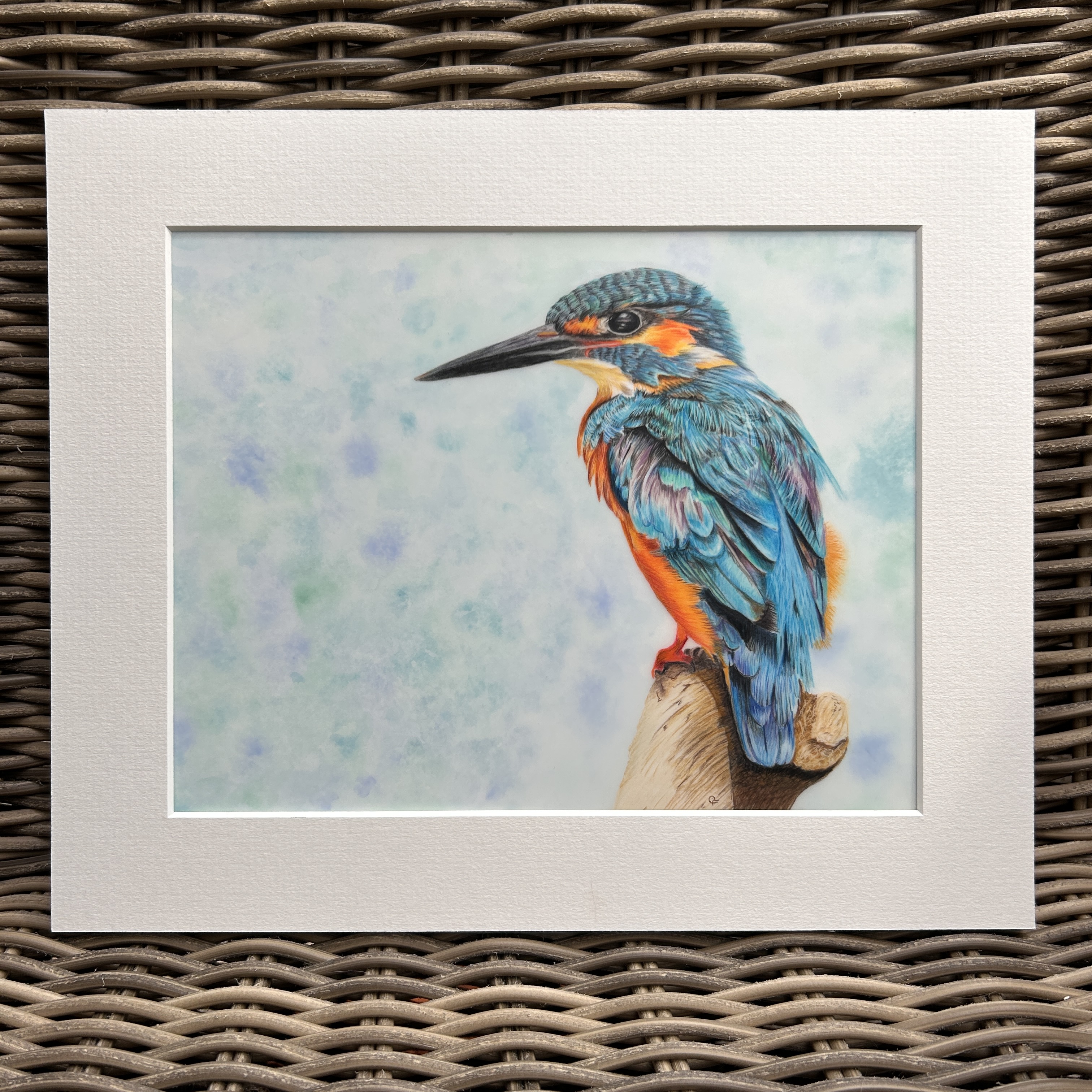 Colourful Kingfisher