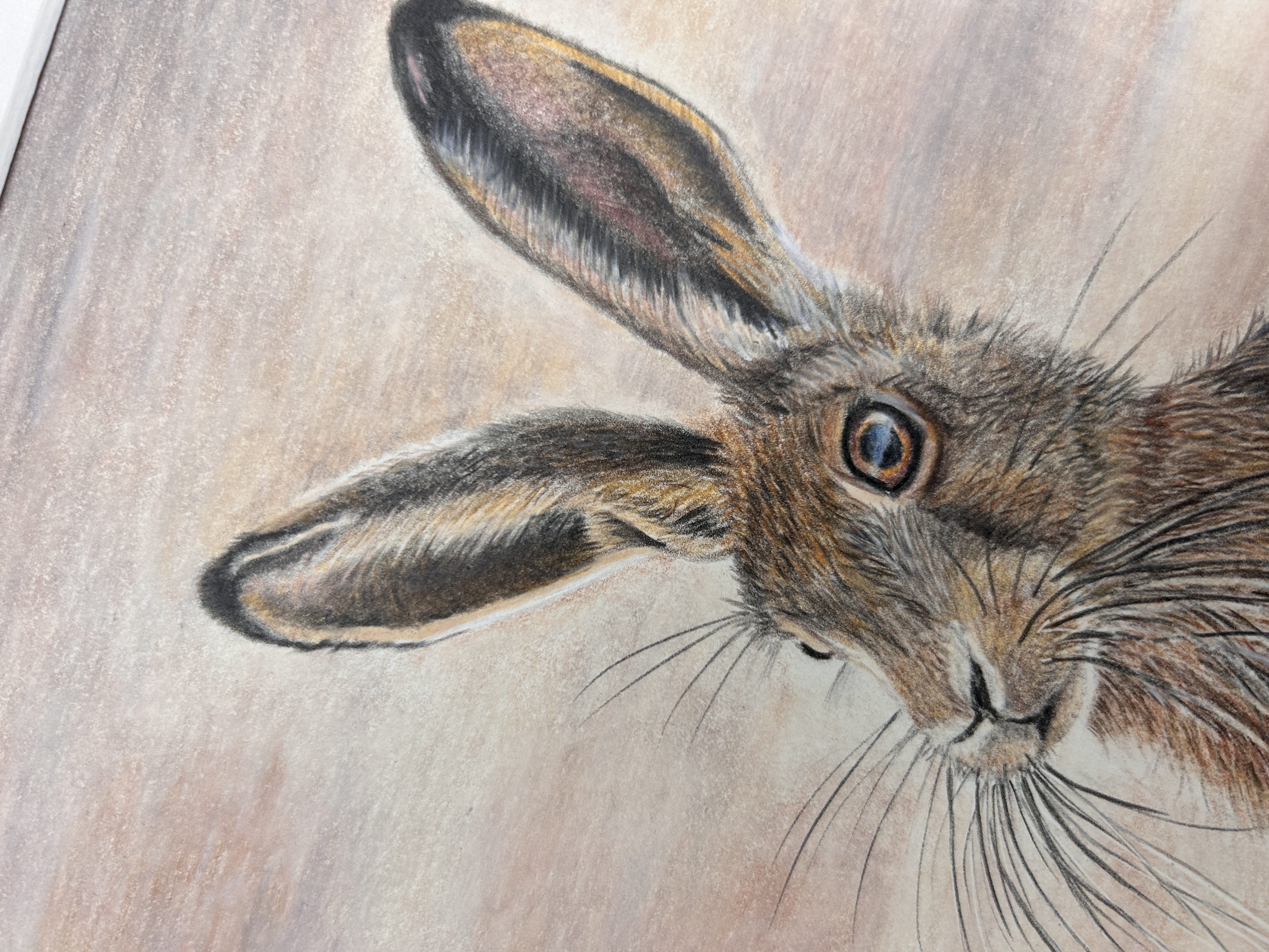 Autumn Hare