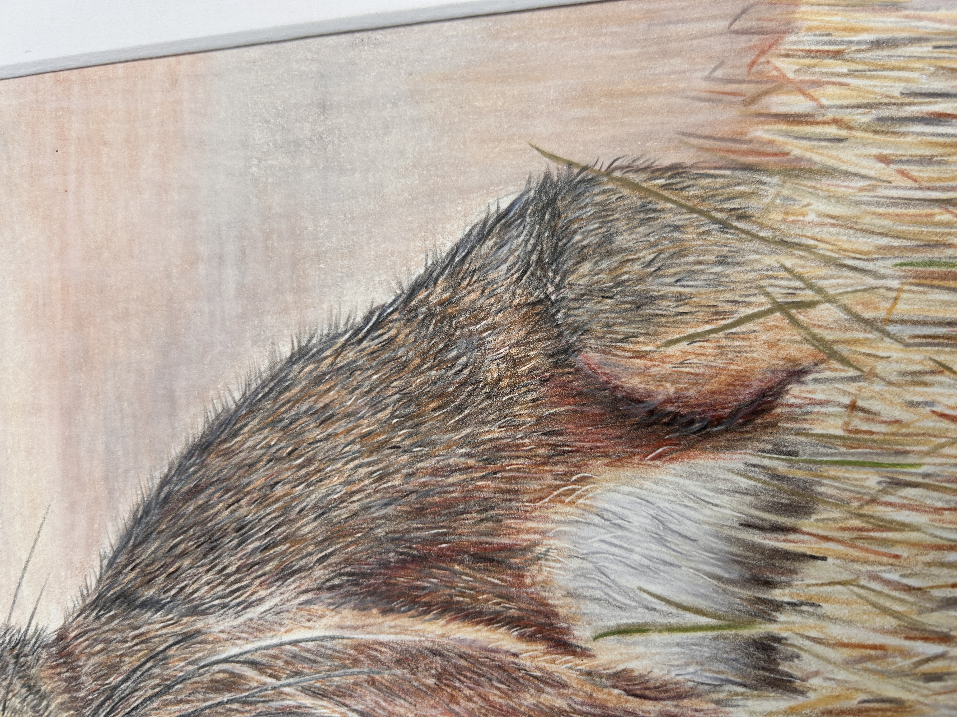 Autumn Hare