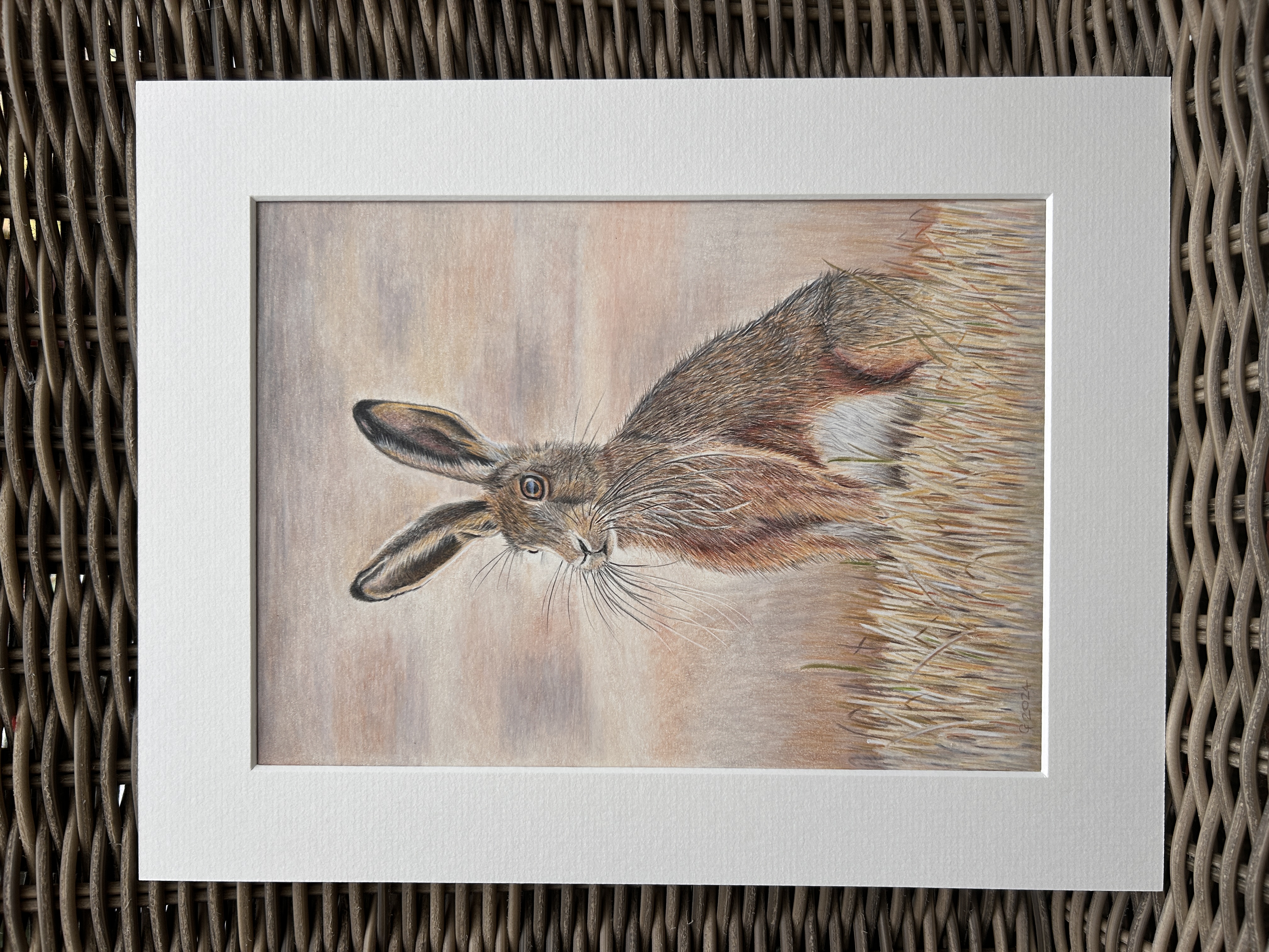 Autumn Hare