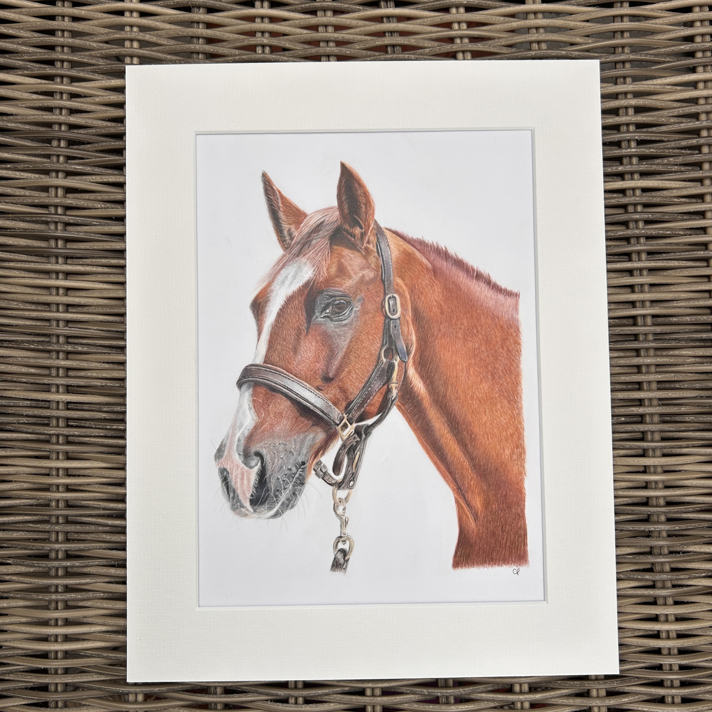 Chestnut Horse
