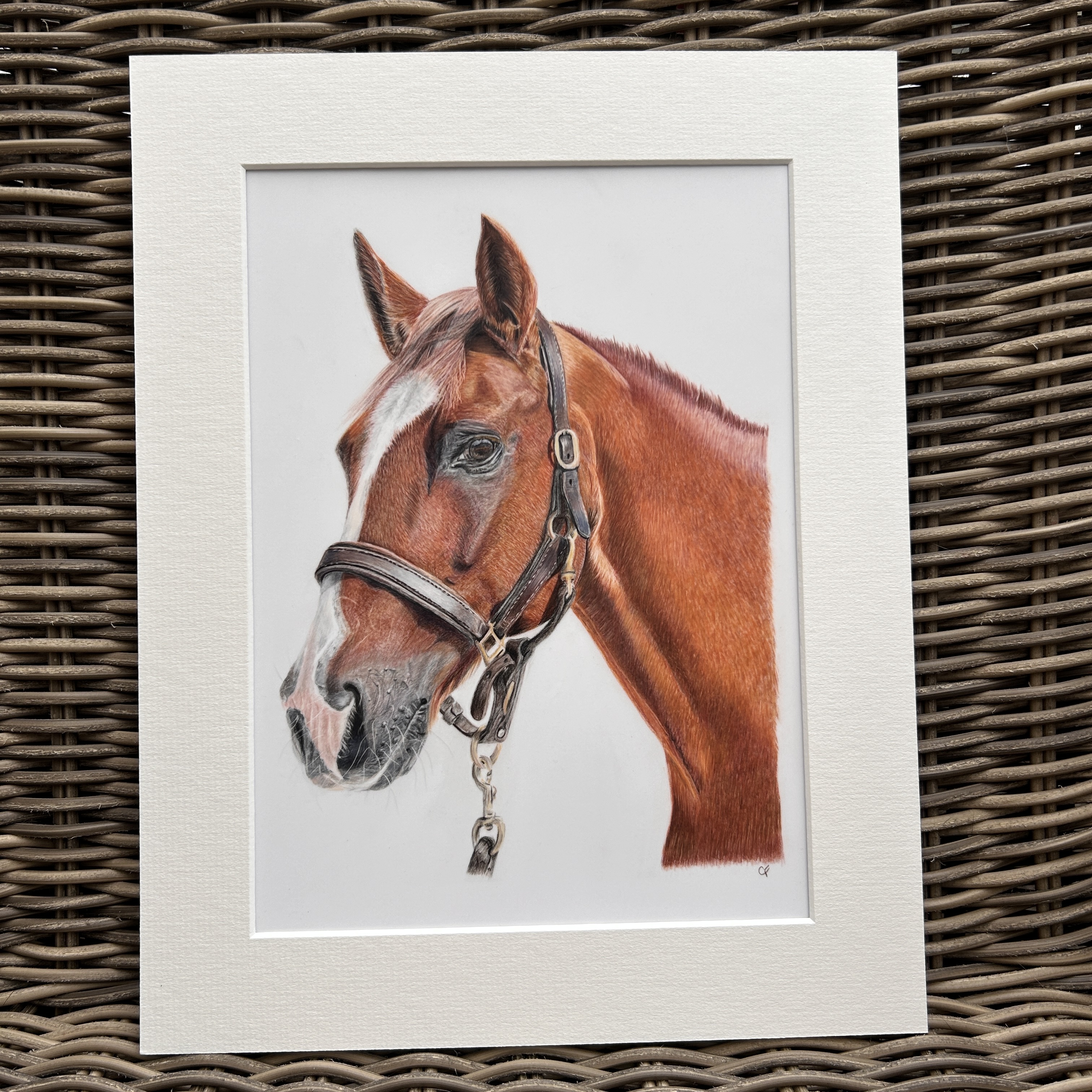 Chestnut Horse